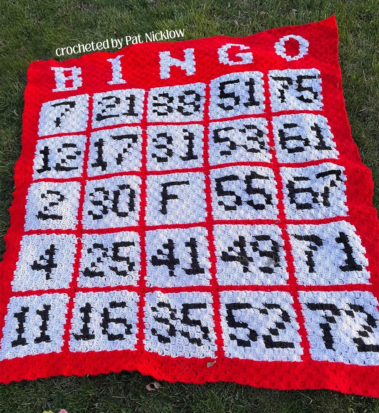 Red, white, and black C2C crochet bingo afghan laid on grass featuring large bingo letters across the top and numbered game squares in a grid pattern.