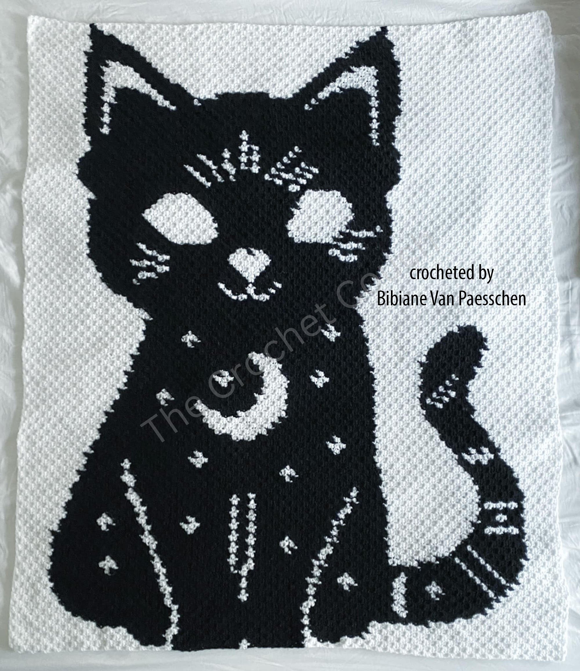 Crochet afghan featuring a mystical celestial cat design with a magical theme.