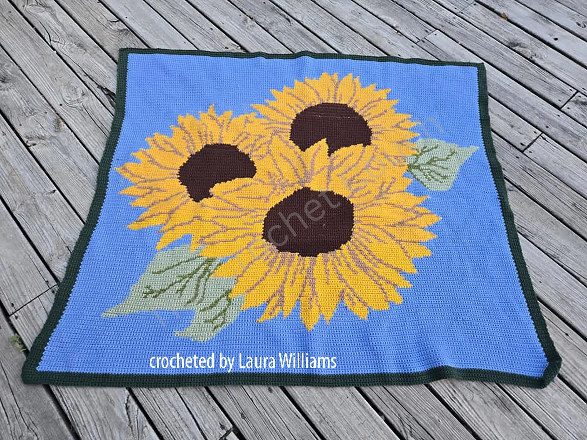 ps from Laura Williams1.jpeg