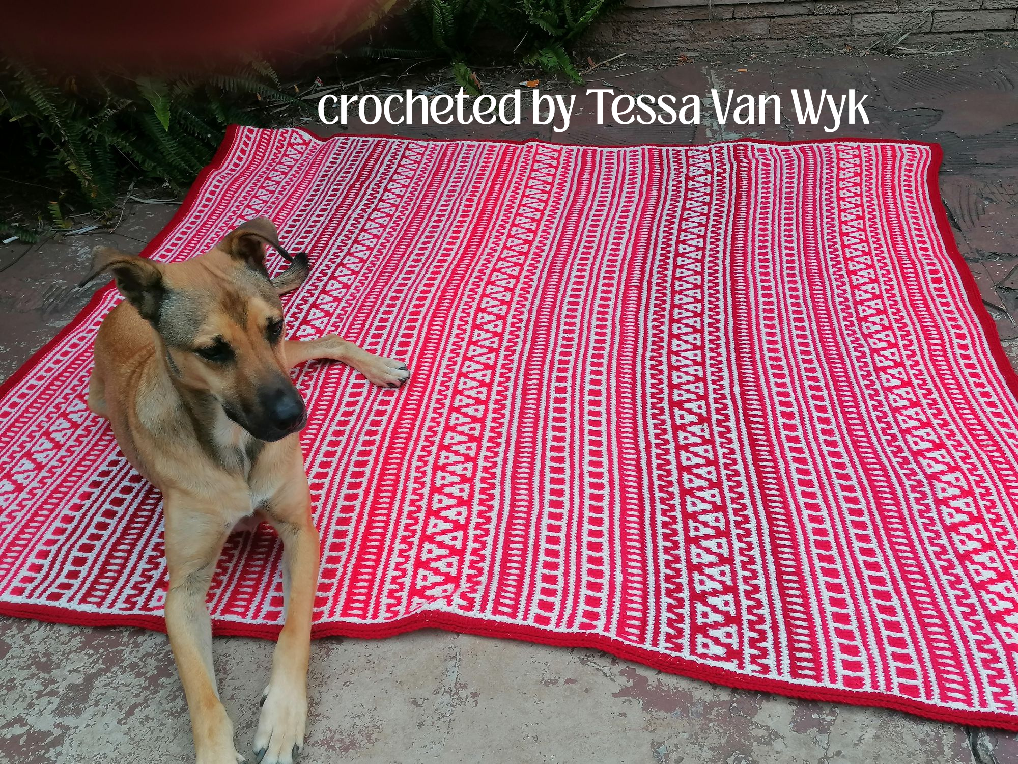 ps from Tessa Van Wyk.png