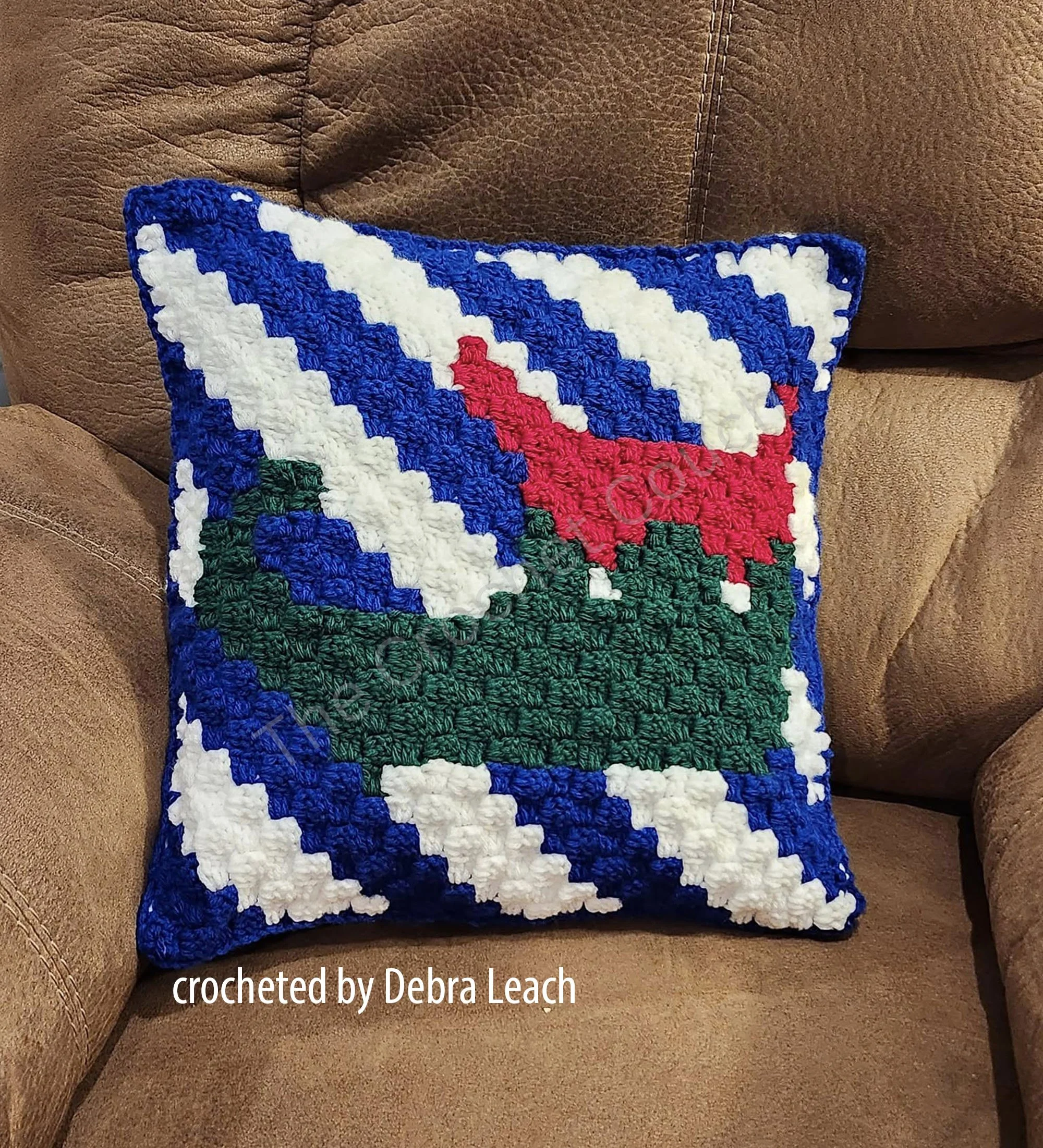 ps from Debra Leach front copy.jpg