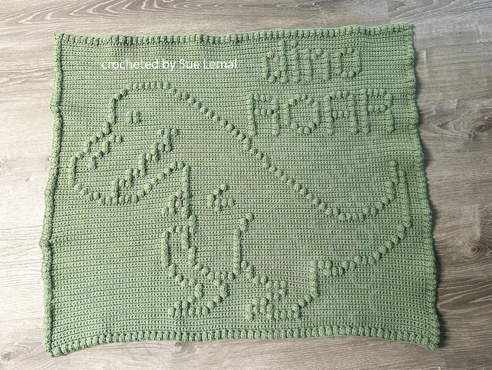 A handmade crochet afghan featuring a textured bobble stitch design of a dinosaur with the words 'Dino ROAR' in green yarn, laid flat on a wooden floor.