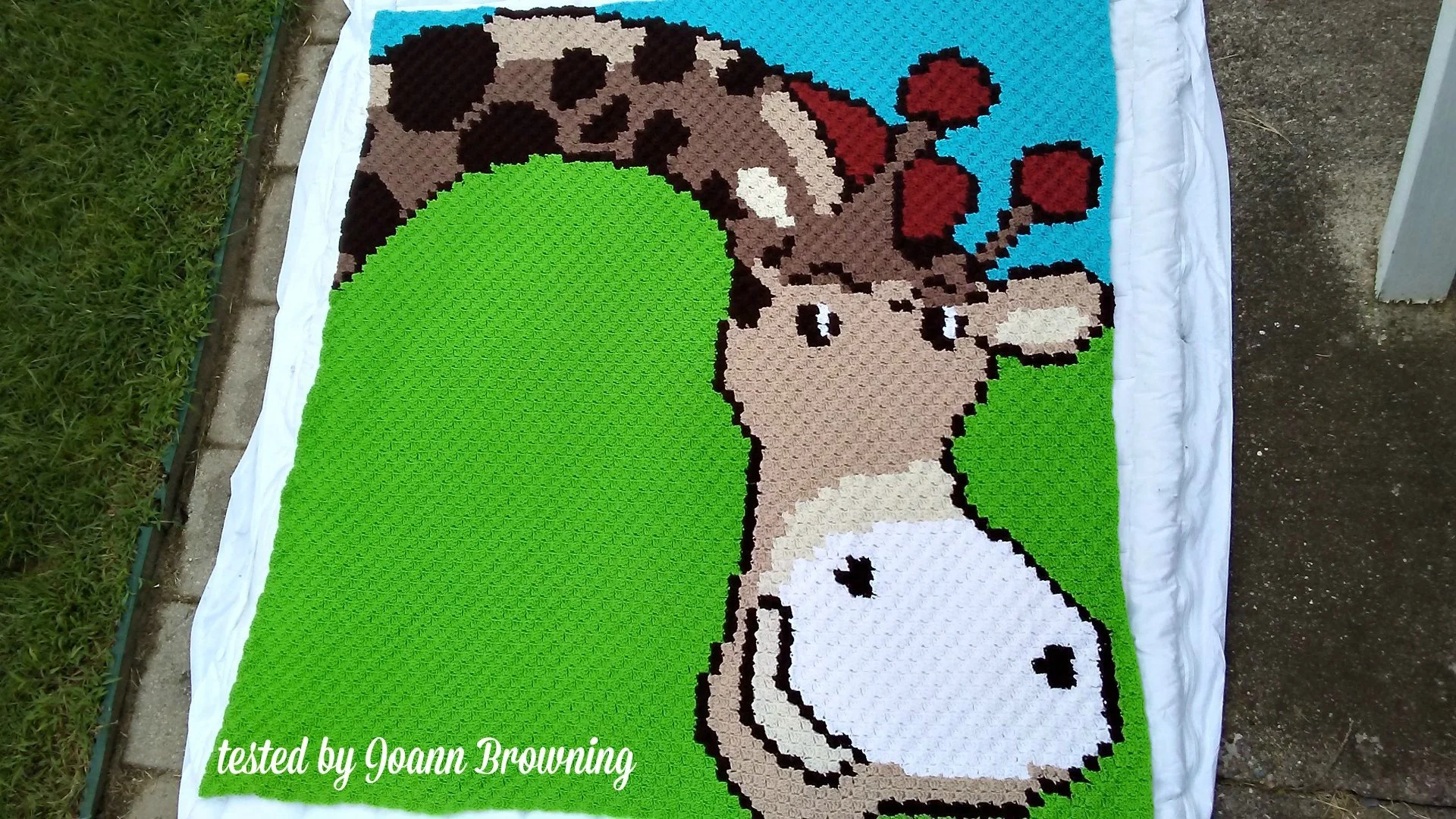from Joann Browning 2.jpg