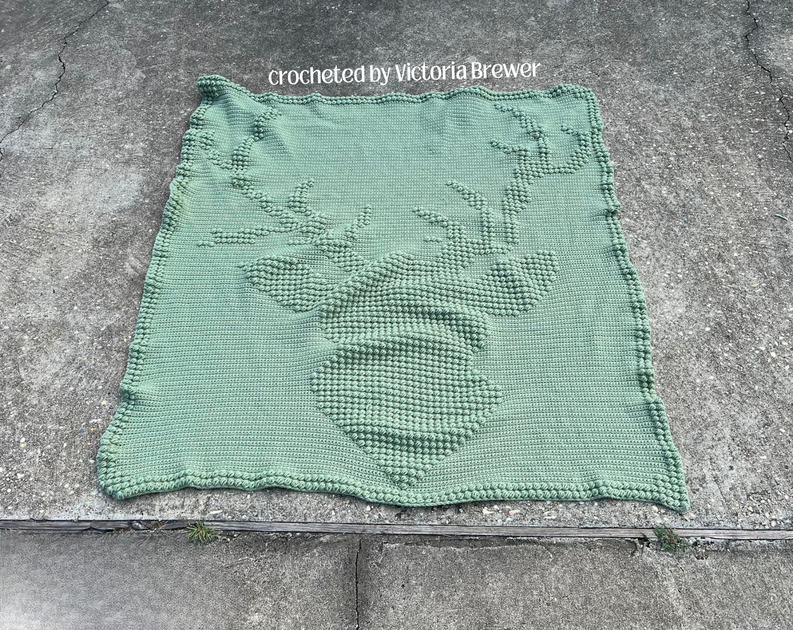 ps from Victoria Brewer.png