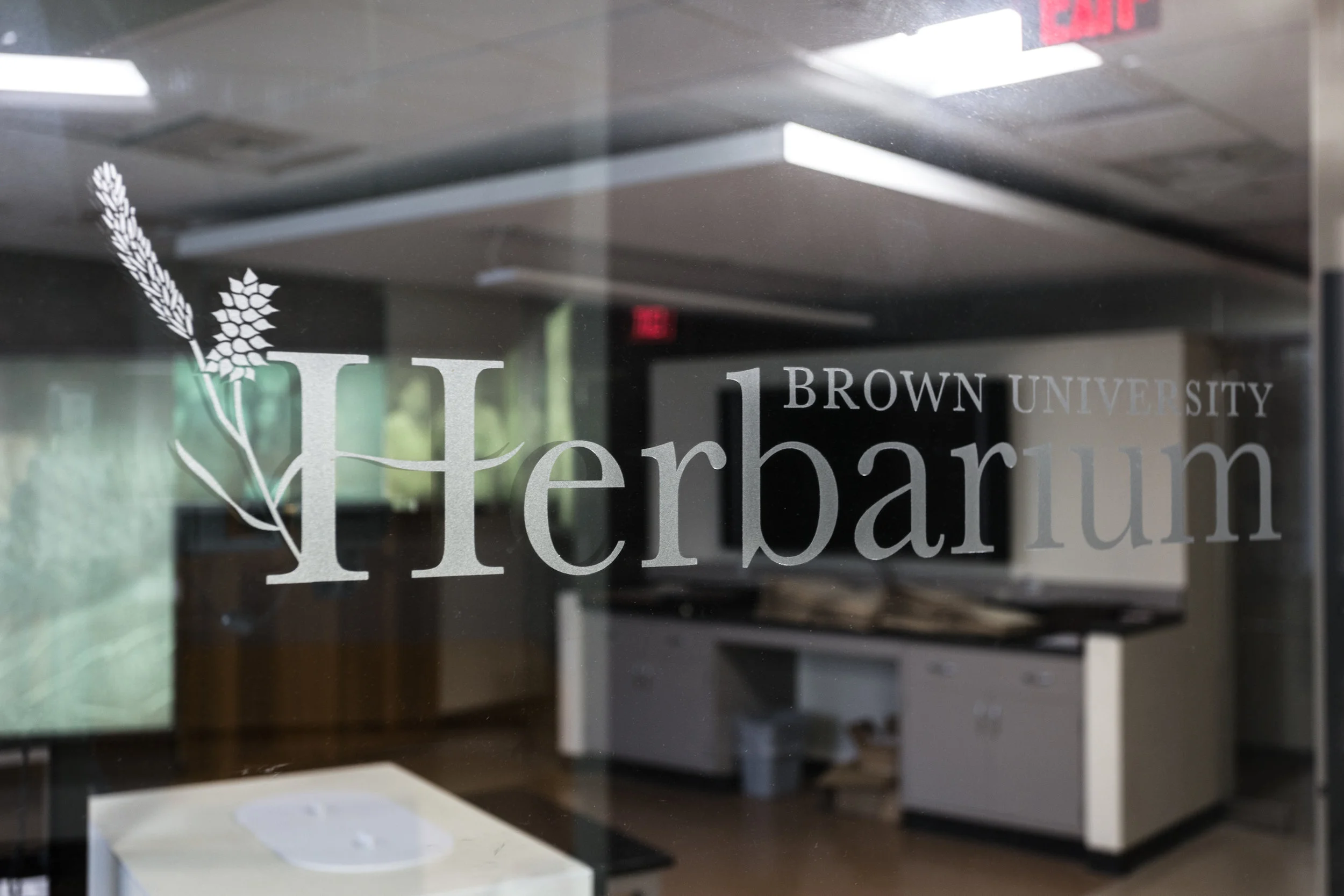 Brown-BioMed-1767-20180626.jpg