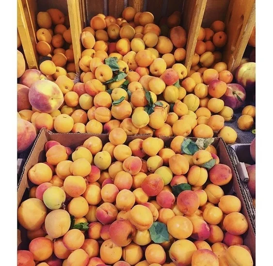 peachpile2.jpg