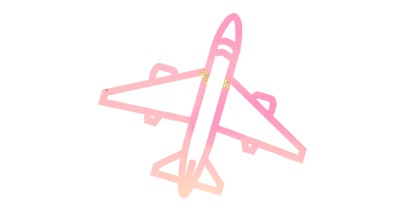 figgy-jet.png