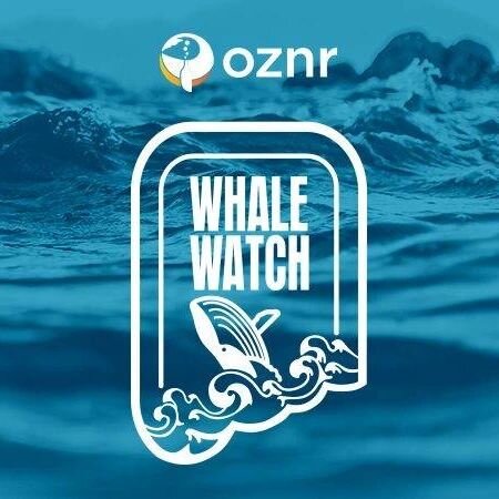Ahoy, Whale Watchers!

This week -- Don&rsquo;t miss a rum barrel brew from Barrel of Monks, a mead made with more than 1,000 pounds of Pacific Coast strawberries from Pye Road Meadworks, or a tropical sour from Corporate Ladder Brewing.

#GetOznr
#W