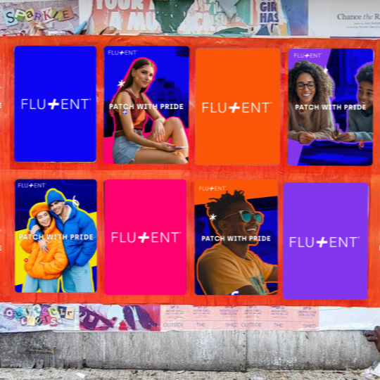 Spec Project: FLUENT