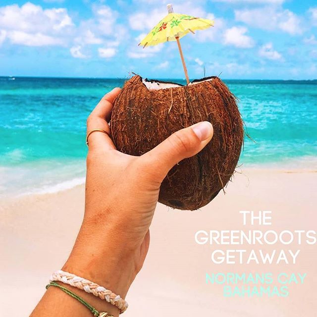 Cheers to the weekend! Life is more fast-paced now than ever. The pressures and demands of work and home life can leave us feeling depleted. Does this sound like the path you find yourself on? 
The Greenroots Getaway is designed to help you to reliev