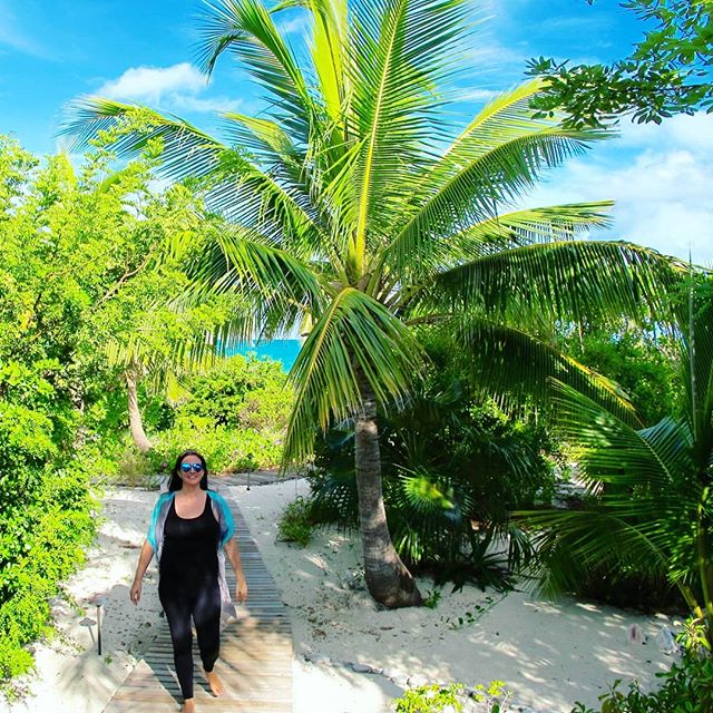 Happy Monday everyone! 🌴🌊Back from hosting incredible clients for a private retreat at the stunning private island, Norman's Cay, in the Bahamas! Stay tuned for more from our wonderful wellness adventure together 💗 🌱#wellnessbeginshere
