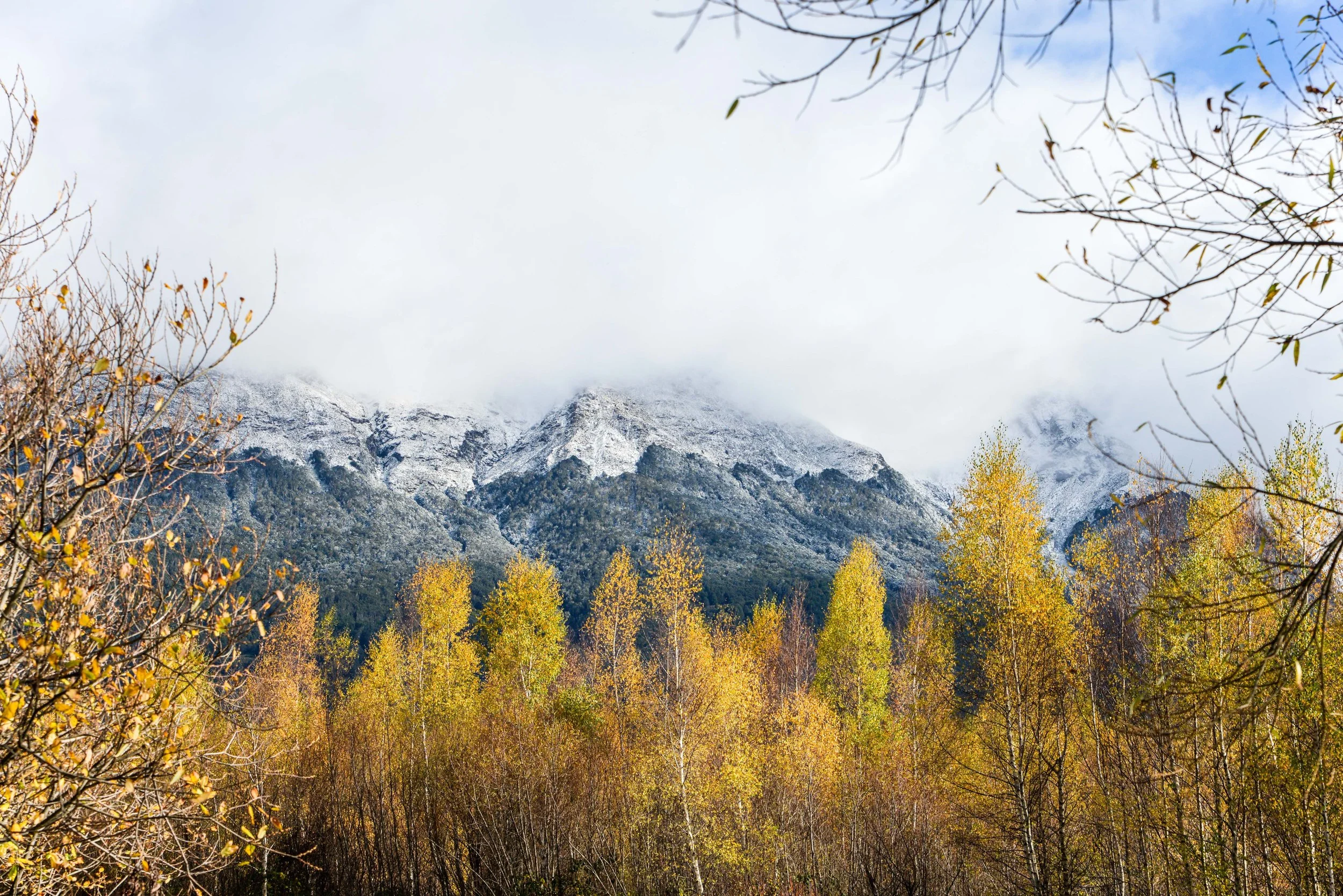 It’s Not Just About Avoiding Probate