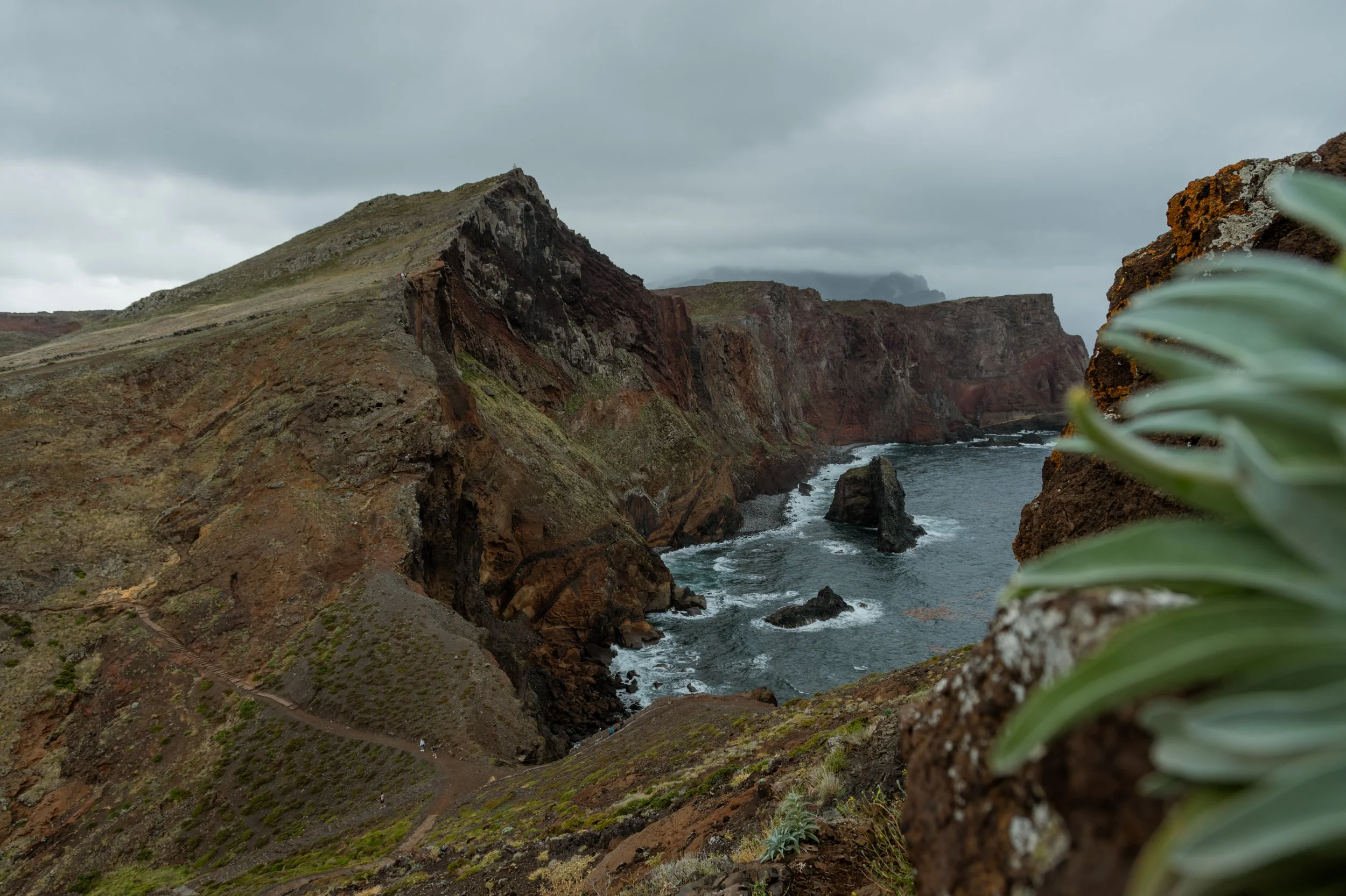 _DSC9241.jpg