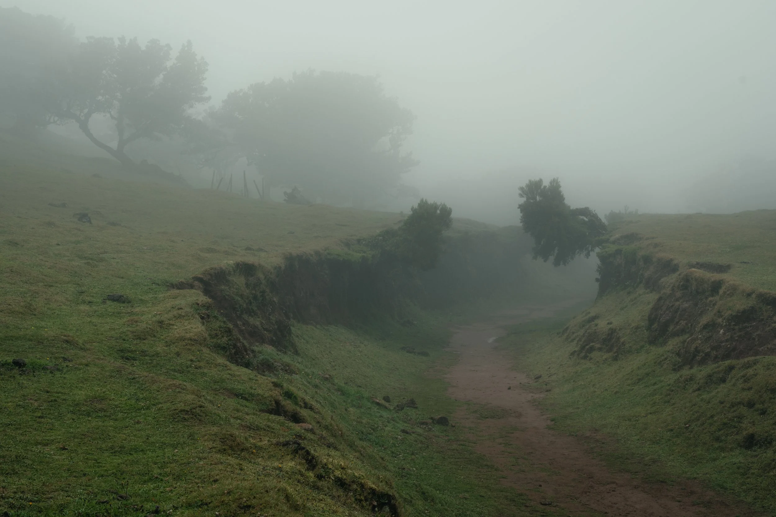 _DSC9531.jpg