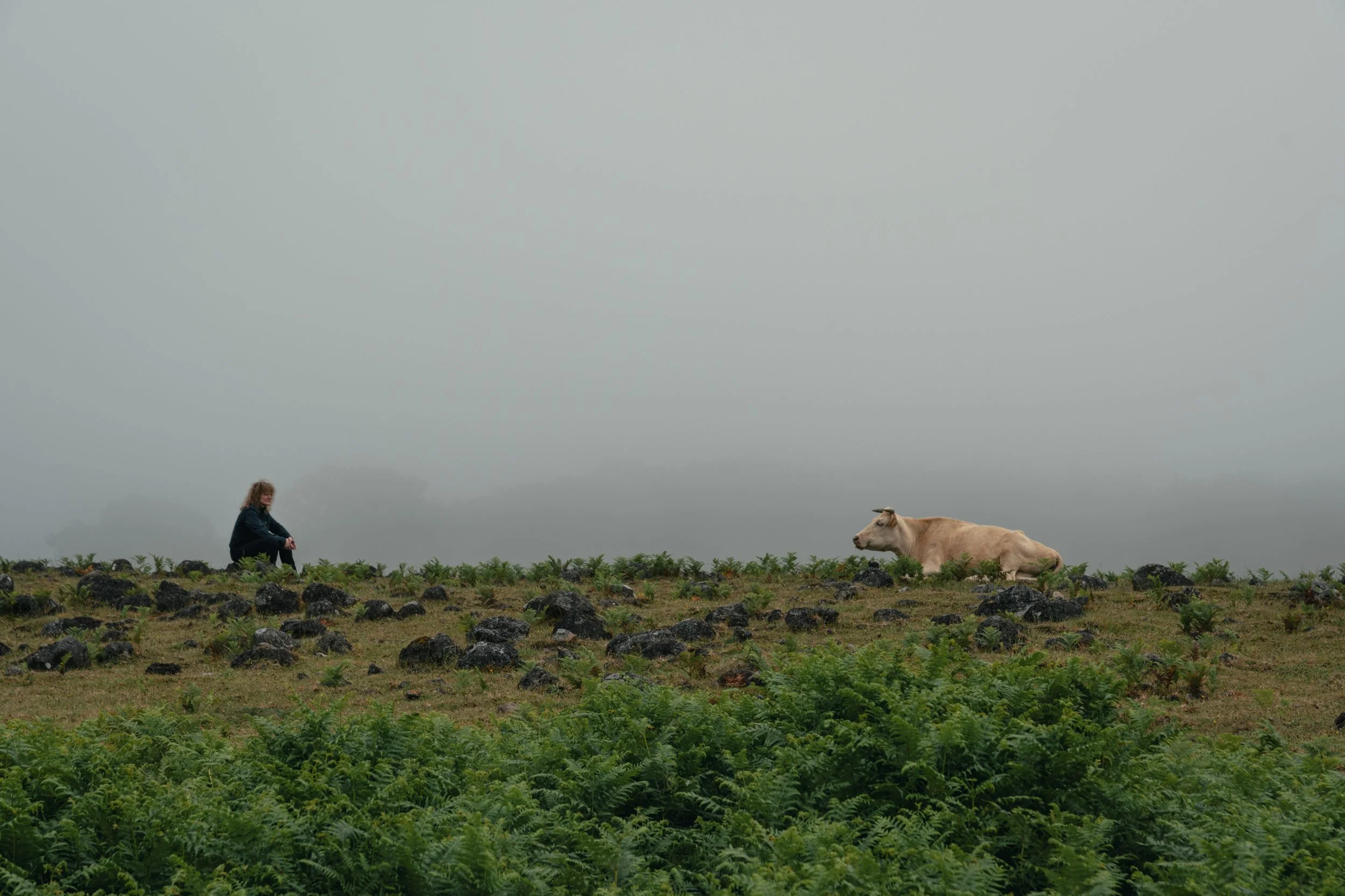 _DSC9538.jpg