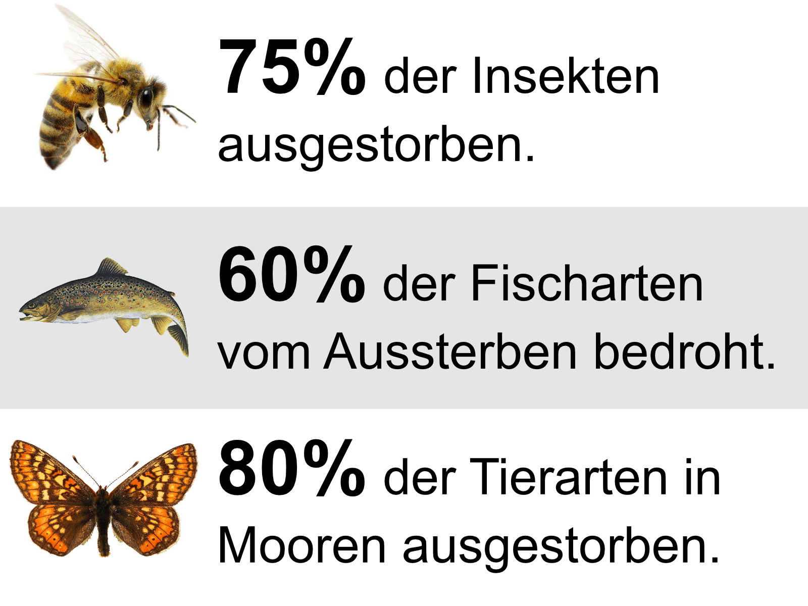 Bilanz der Natur