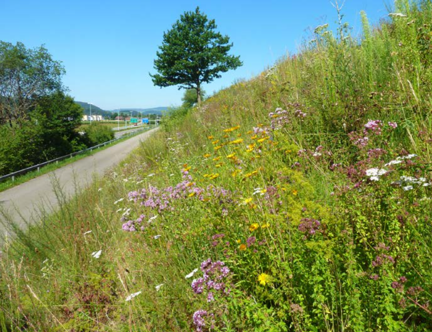 Gegenvorschlag Naturinitiative