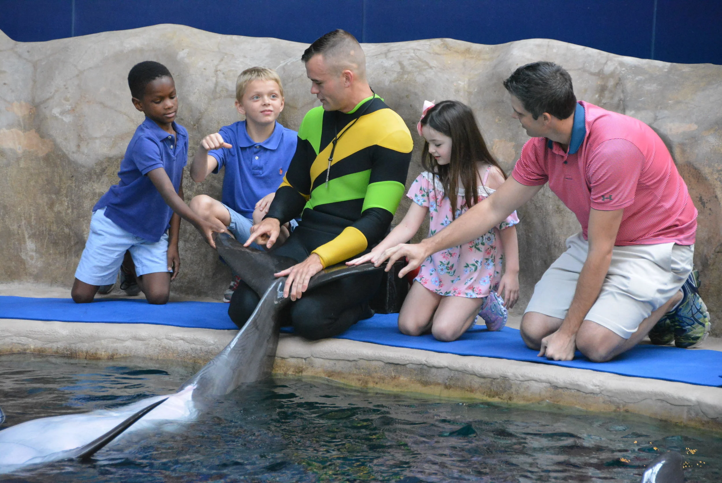 Dolphin Encounter at Georgia Aquarium