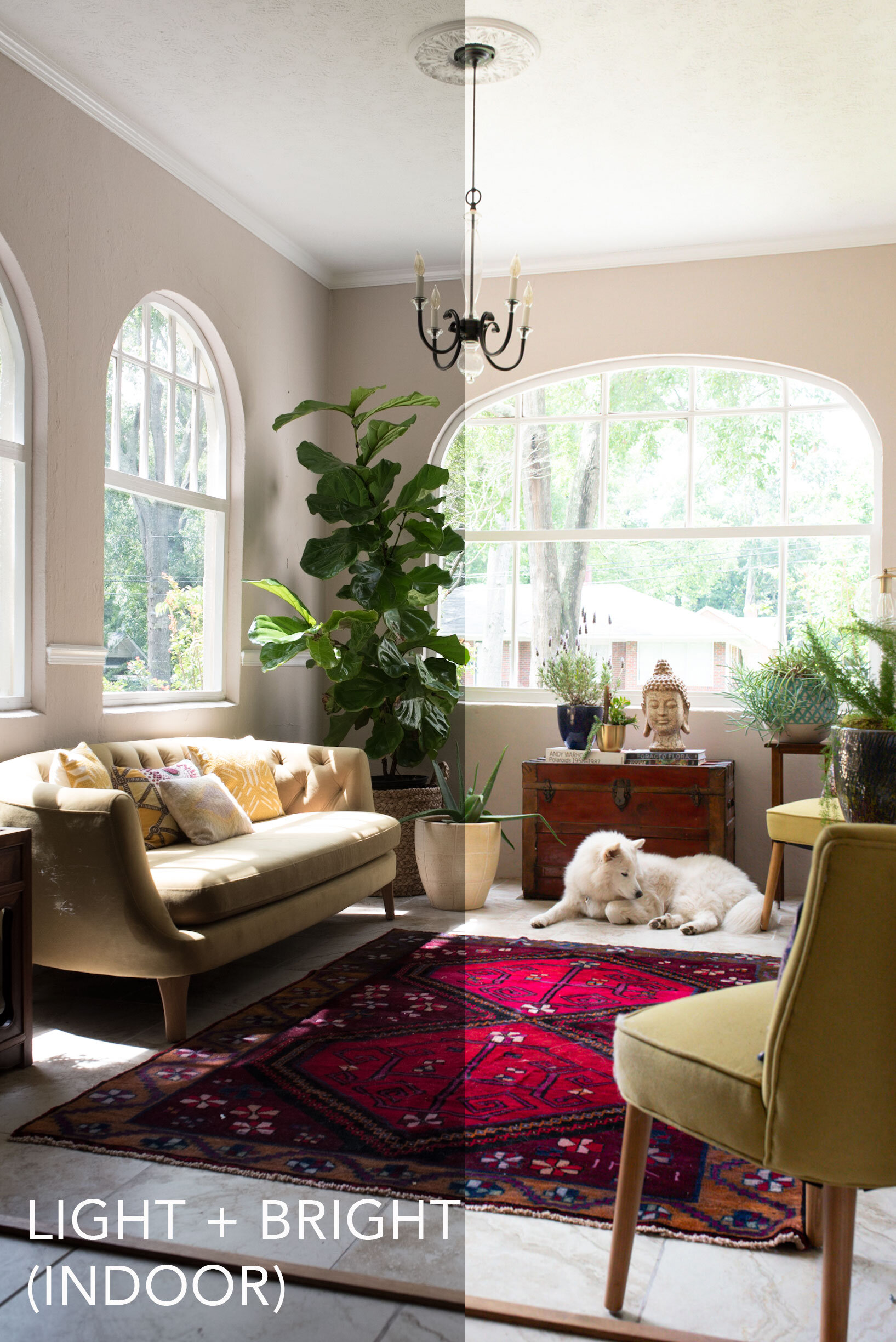 Light-+-Bright-Indoor---BA.jpg