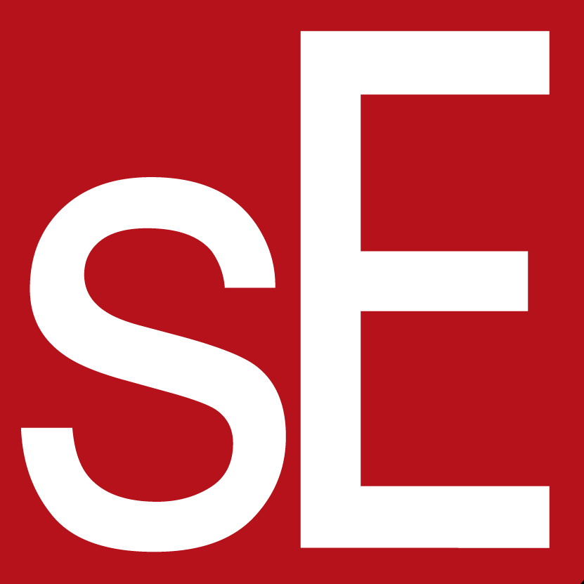sE Electronics