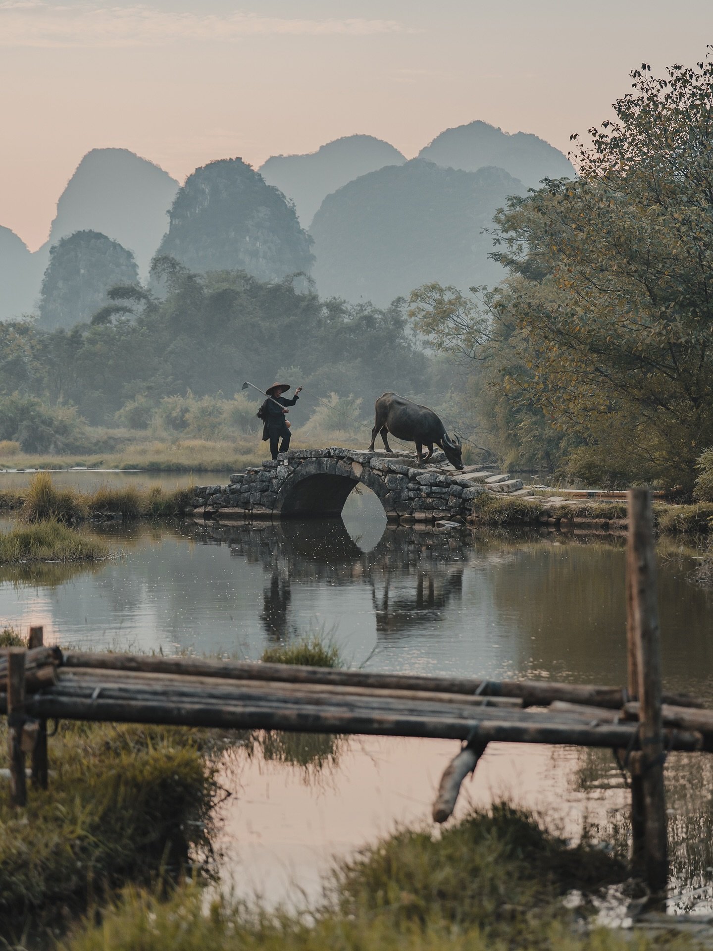 Soft pastels at dawn. A lone buffalo farmer on his morning commute. Then light streaming down onto the rice fields as the sun teetered above the peaks. Sunrises in rural China go hard. #guilin #guilinchina