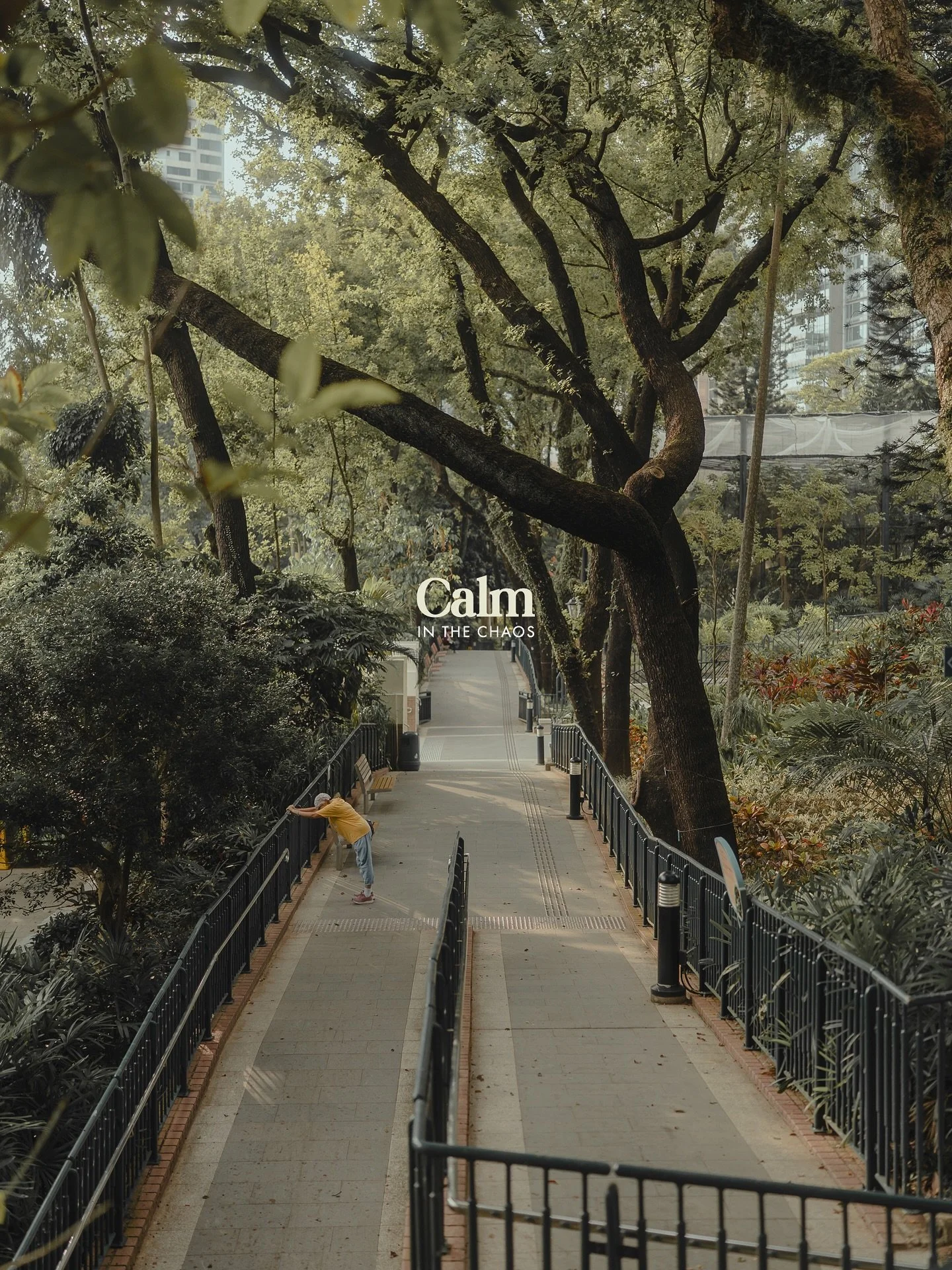 Cities like Hong Kong are so big and bustling that they can feel a little overwhelming at times. That&rsquo;s why I love going out in the early morning or evening to observe the local people go about their lives: transitioning through different phase