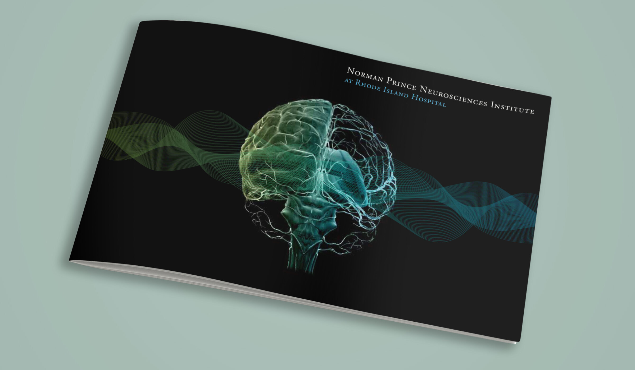 rih-neurosciences-brochure-cover.jpg