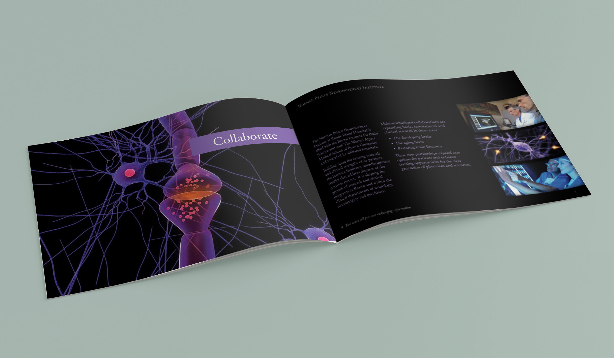 rih-neurosciences-brochure-spread2.jpg