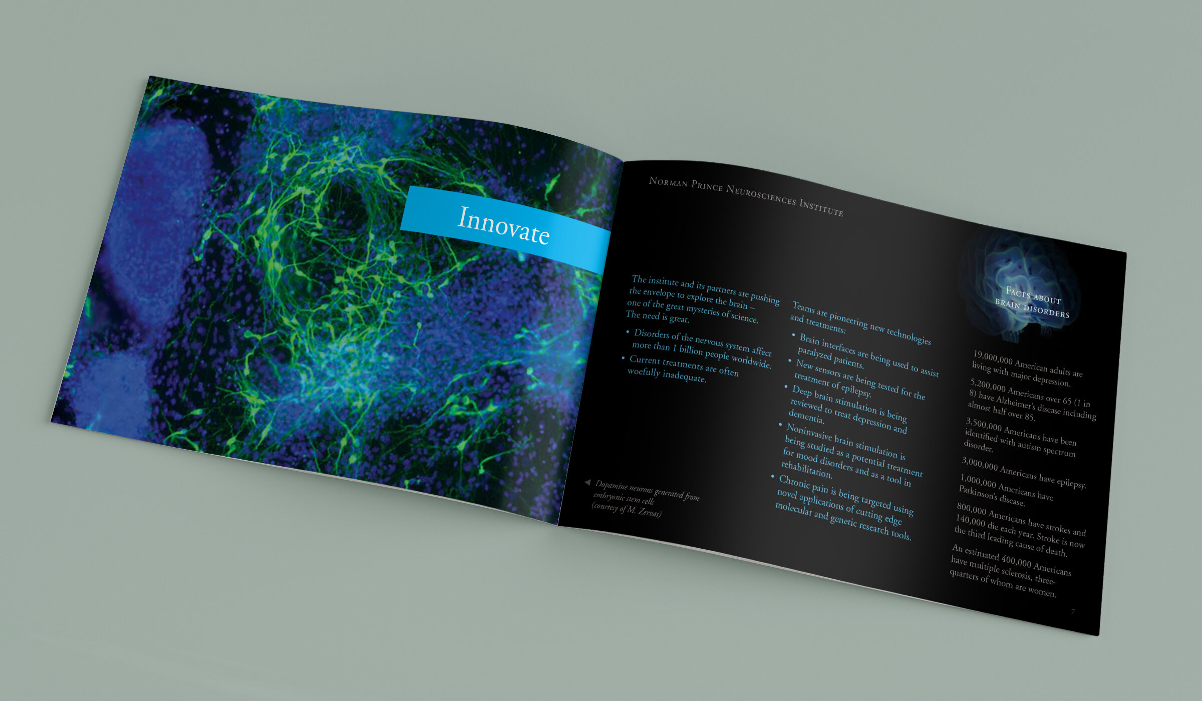 rih-neurosciences-brochure-spread3.jpg