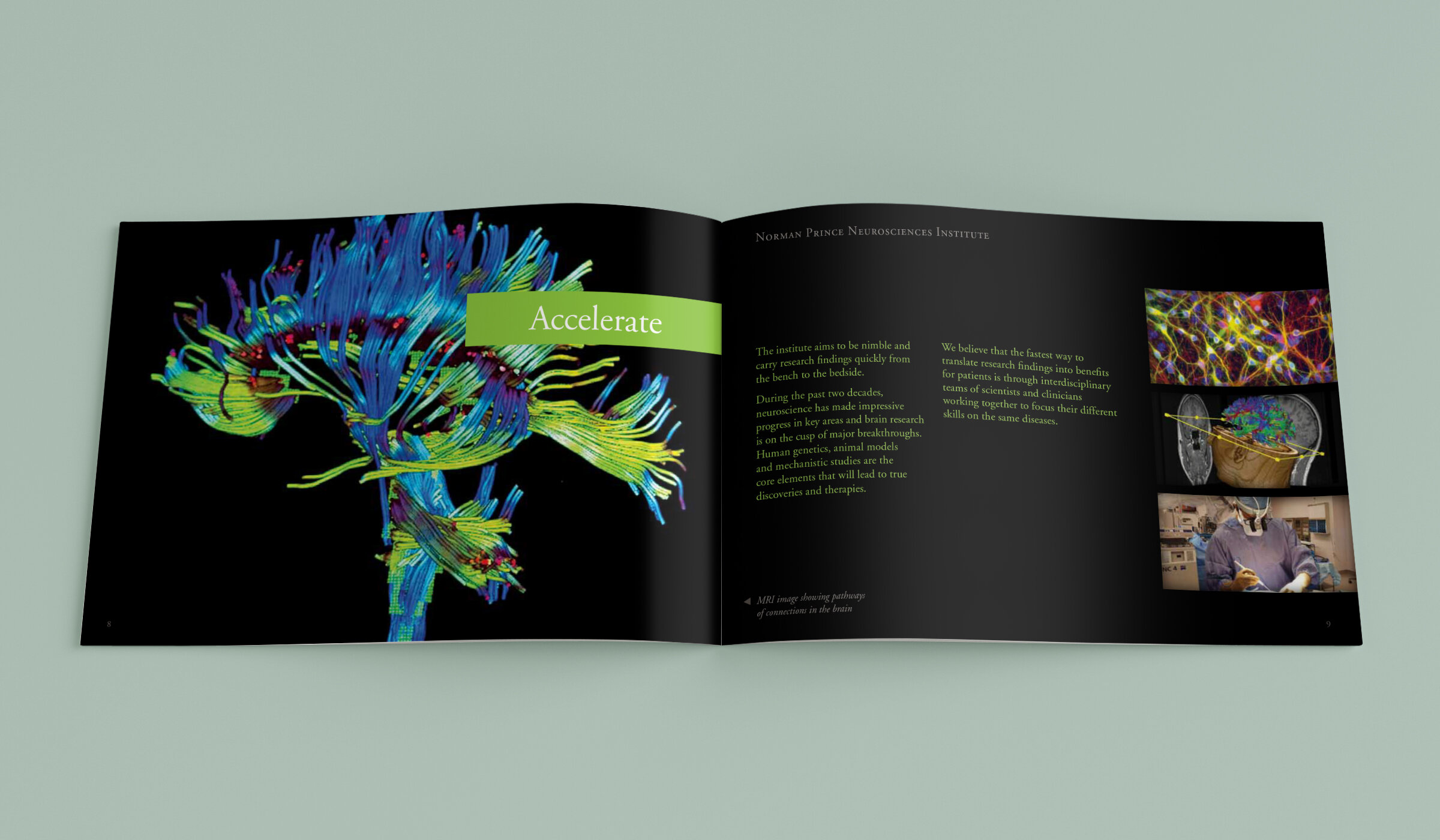 rih-neurosciences-brochure-spread4.jpg
