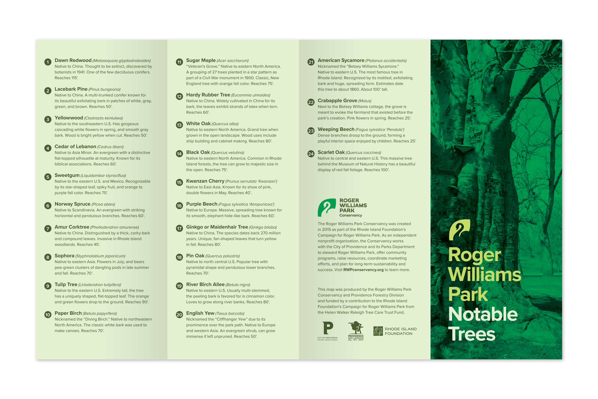 roger-williams-park-brochure-trees-exterior.png
