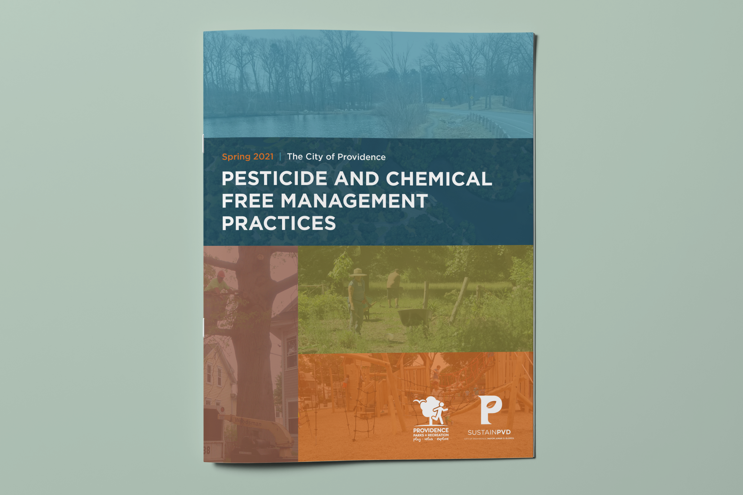pvd-environmental-practices-report-1.png