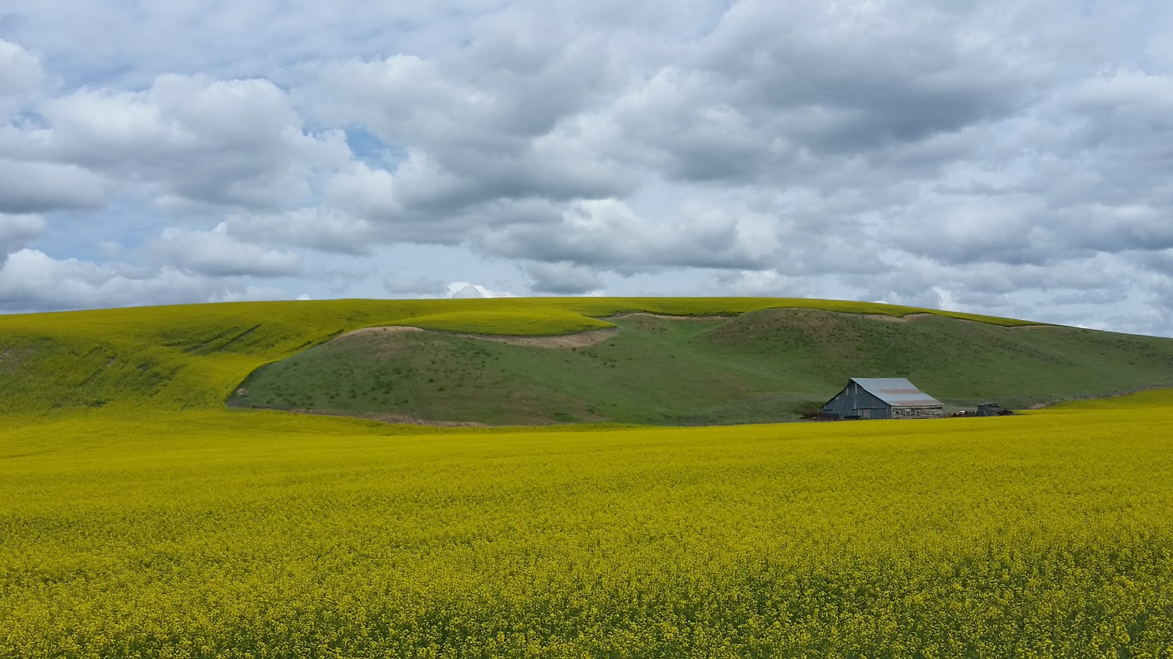 This can only be the Palouse 