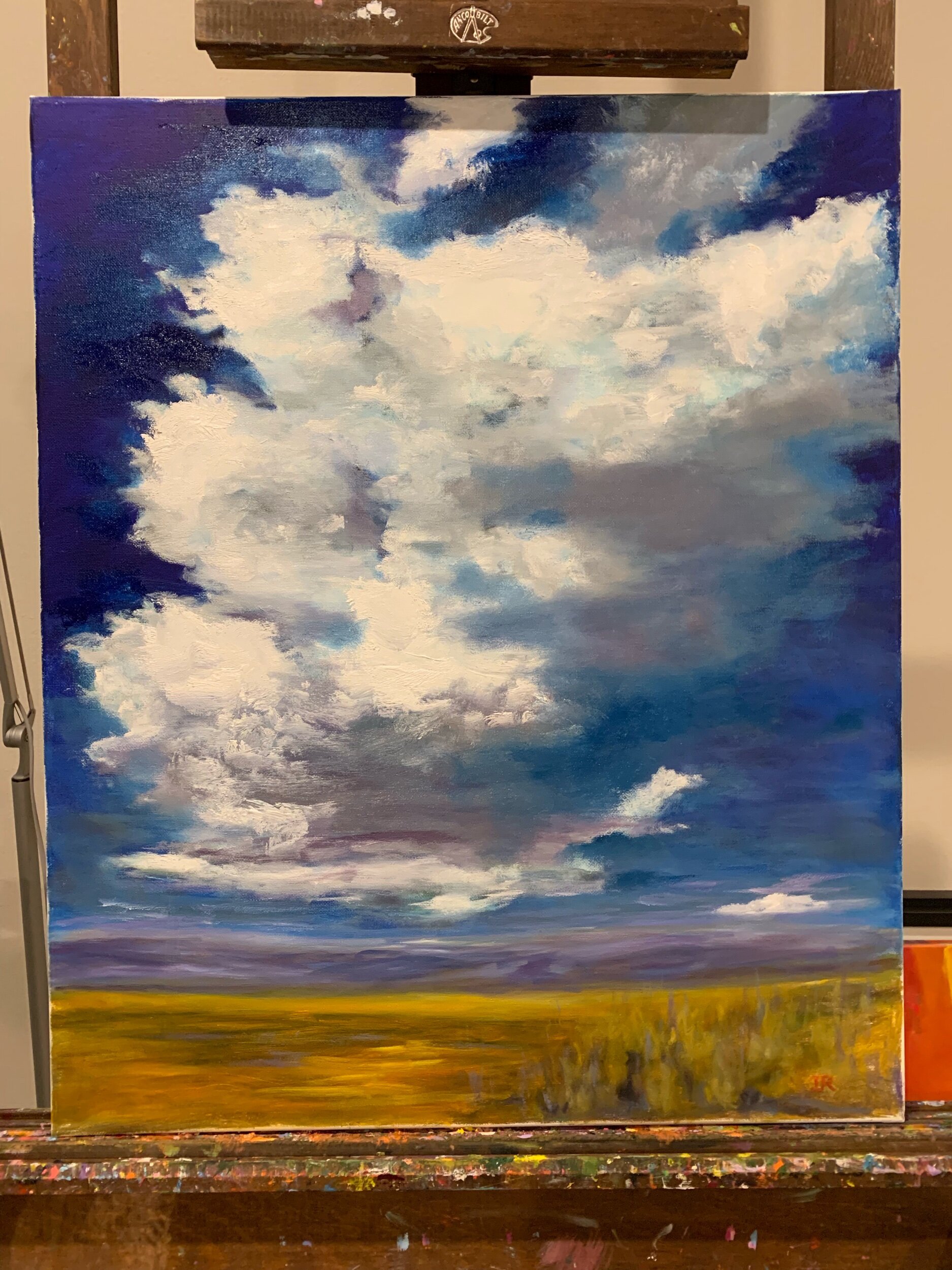 My backyard cloud 20”X 24”