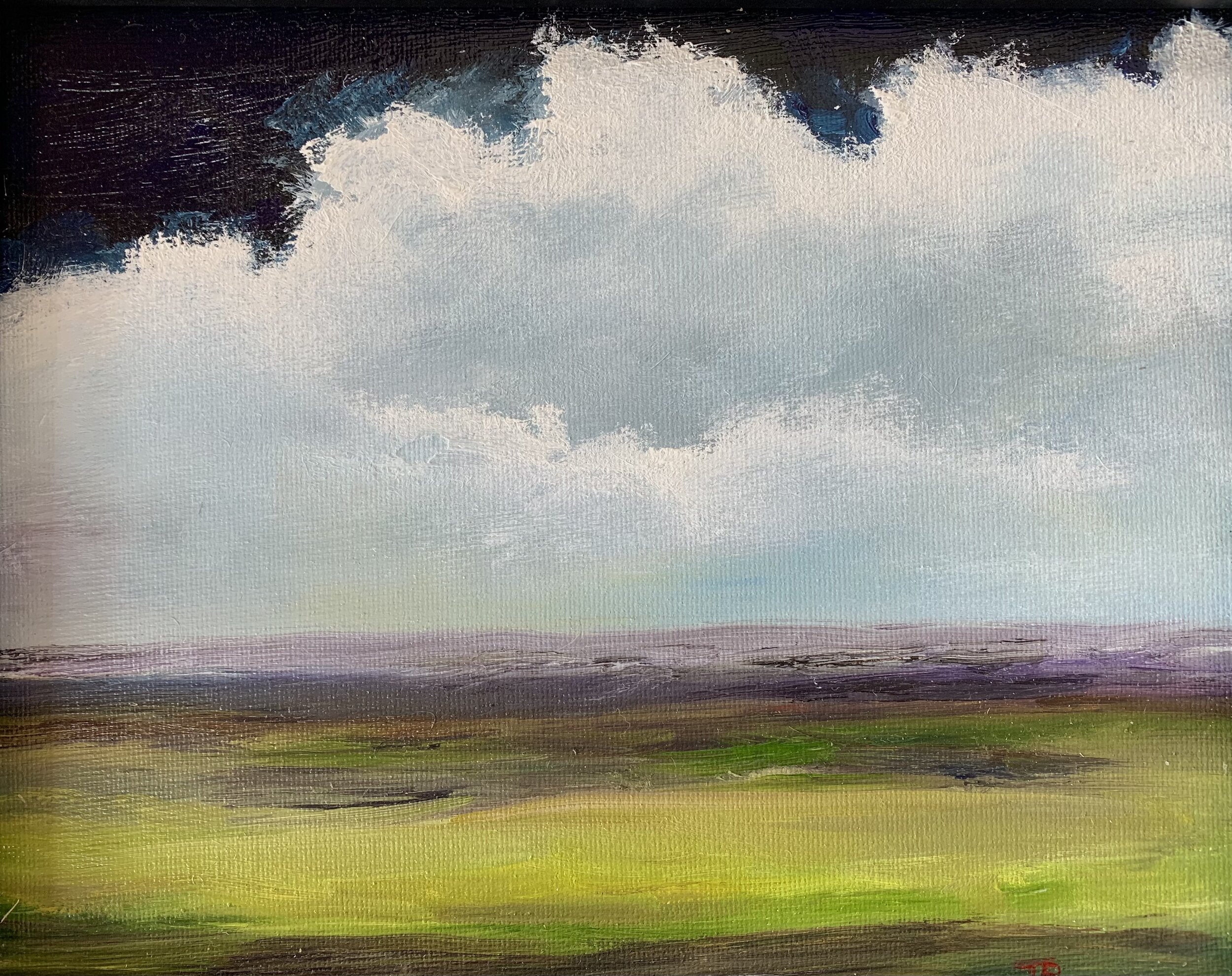 One Cloud 8" X 10" Oil on Canvas $225