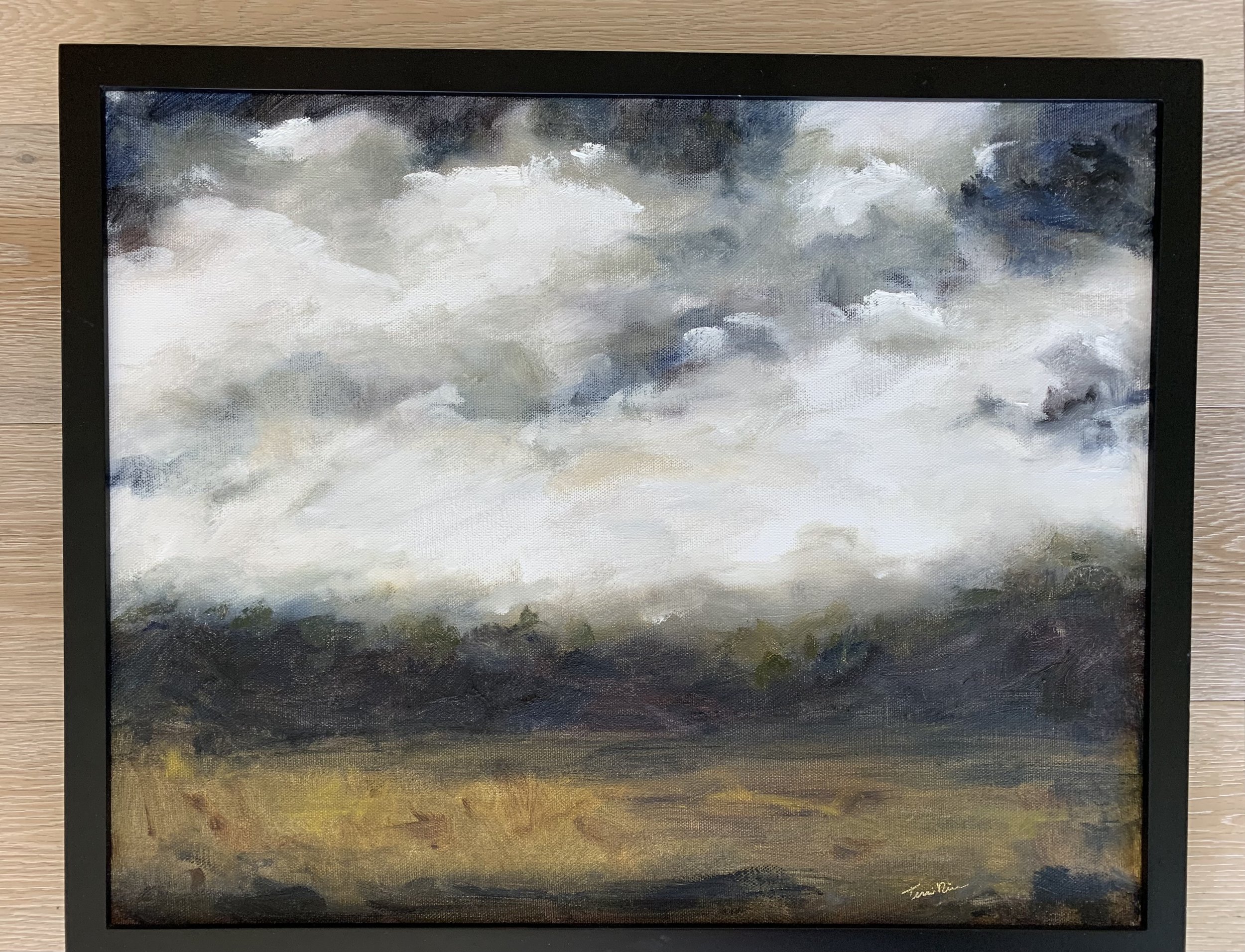 Coming Storm 16" X 20" SOLD 