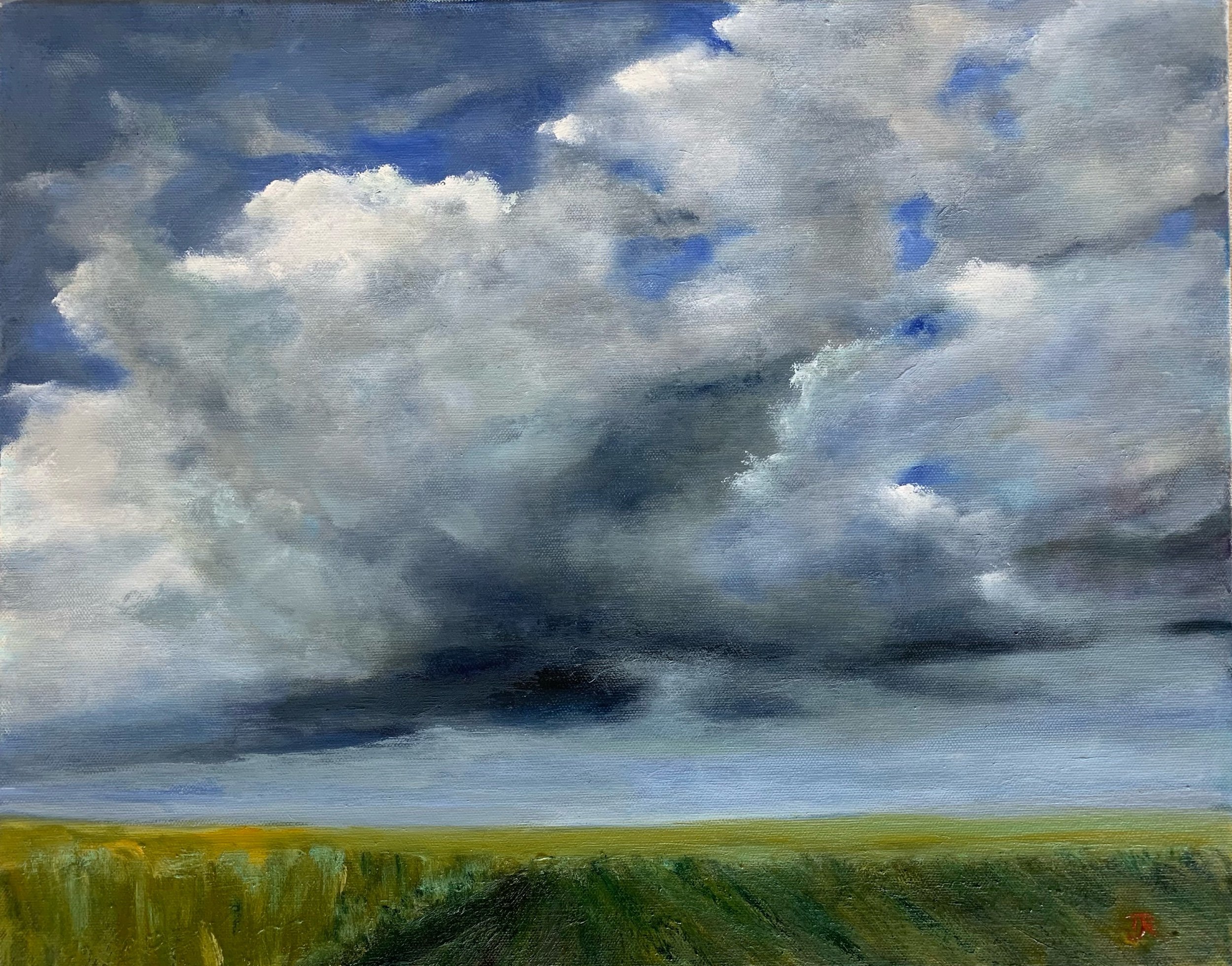 Kansas Sky 16X20 $525