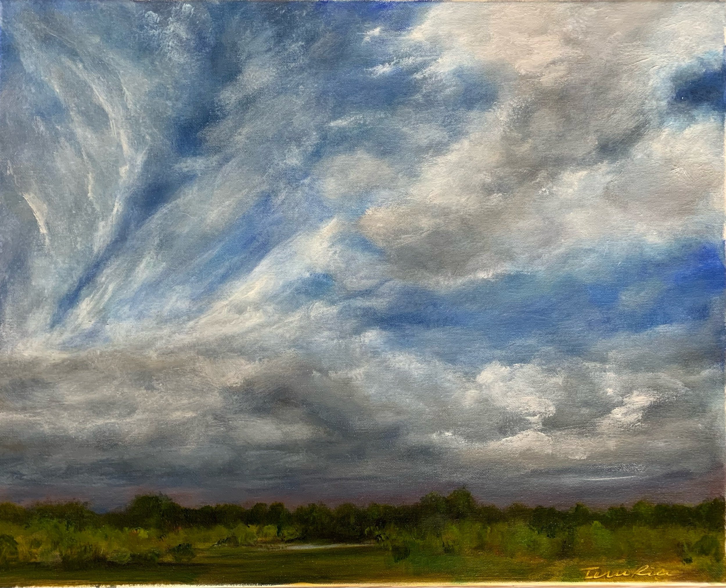 16” X 20” $525 Cloud Cover