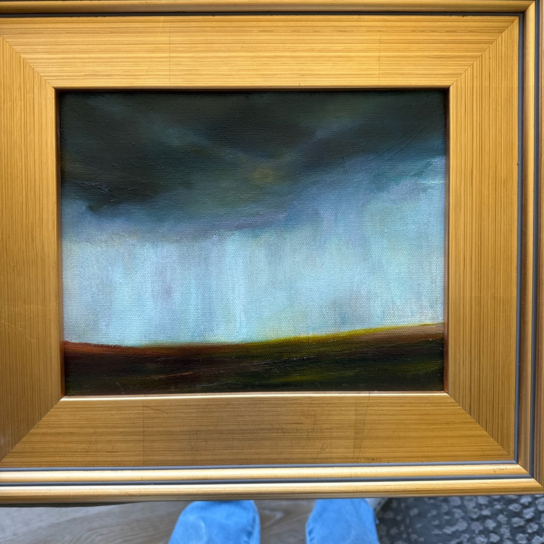 Storm 8X 10 $240