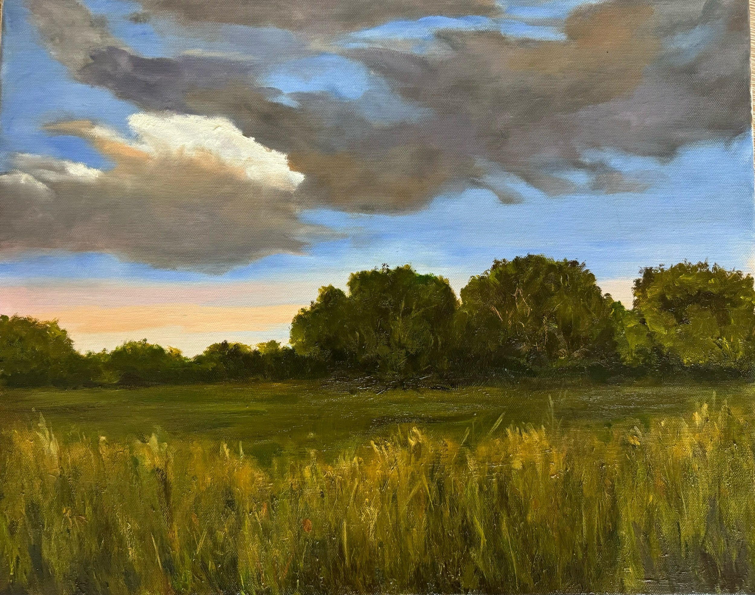 Tennessee Sky 16X20 oil on canvas $550