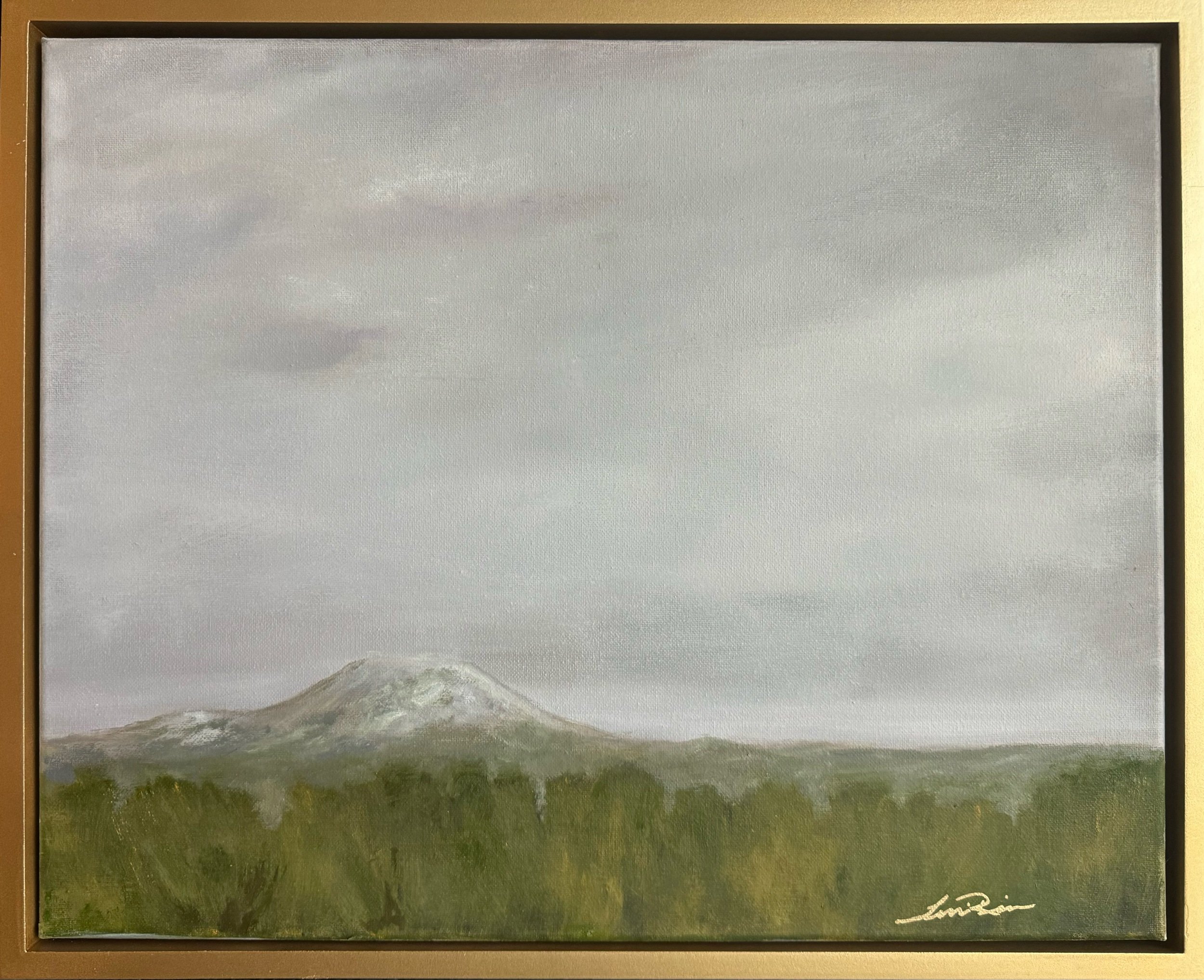 Gray Mountain Day 16” X 20” oil on canvas $525