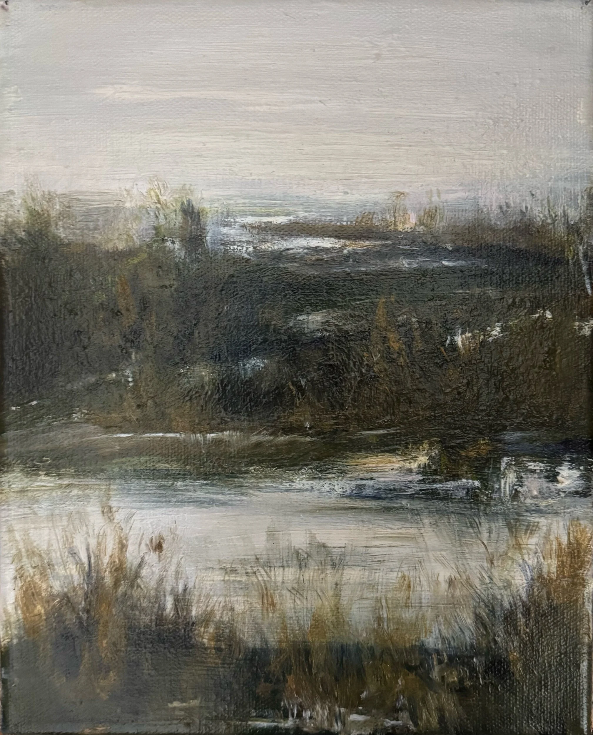 Swamp land 8” x 10” $250