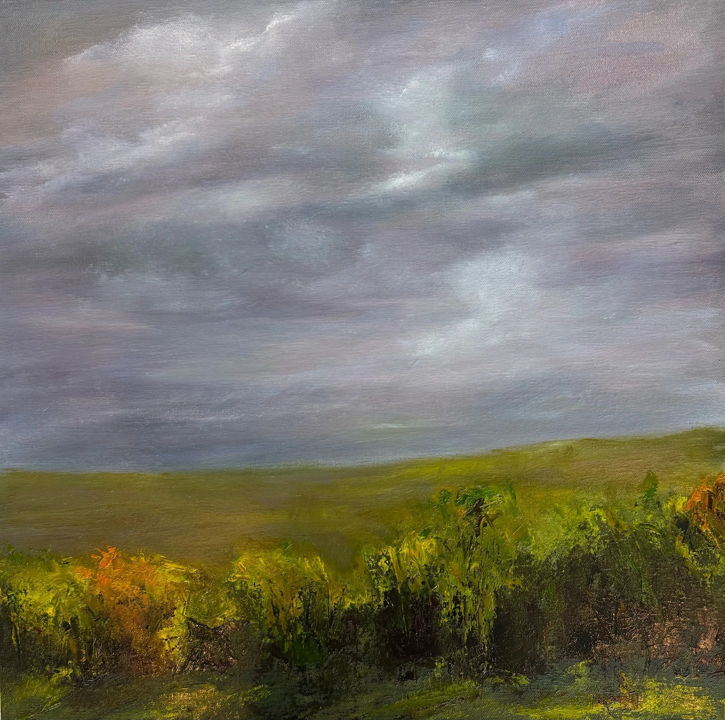 20”X20” oil $595