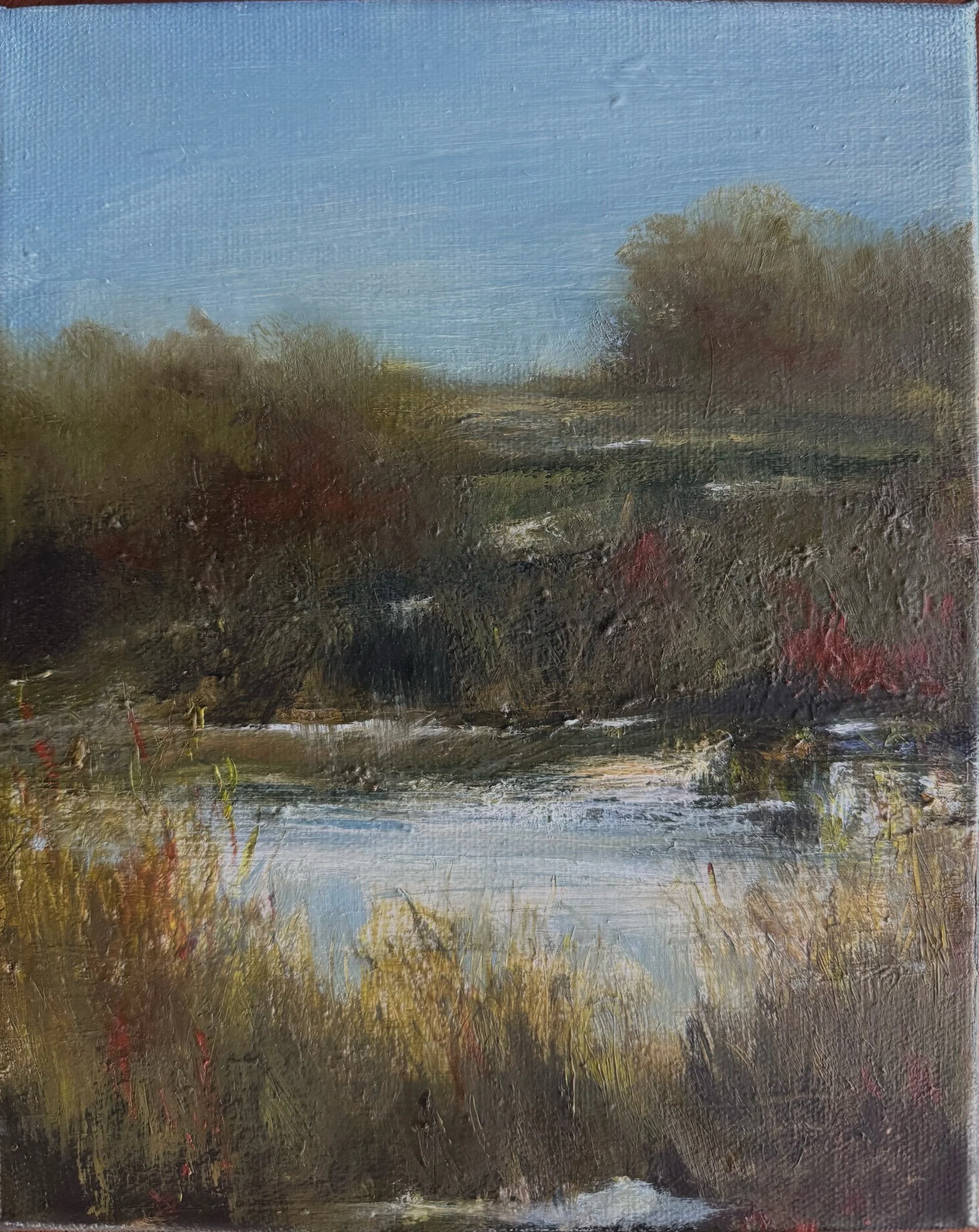 Swamp Land 8 X 10 $245