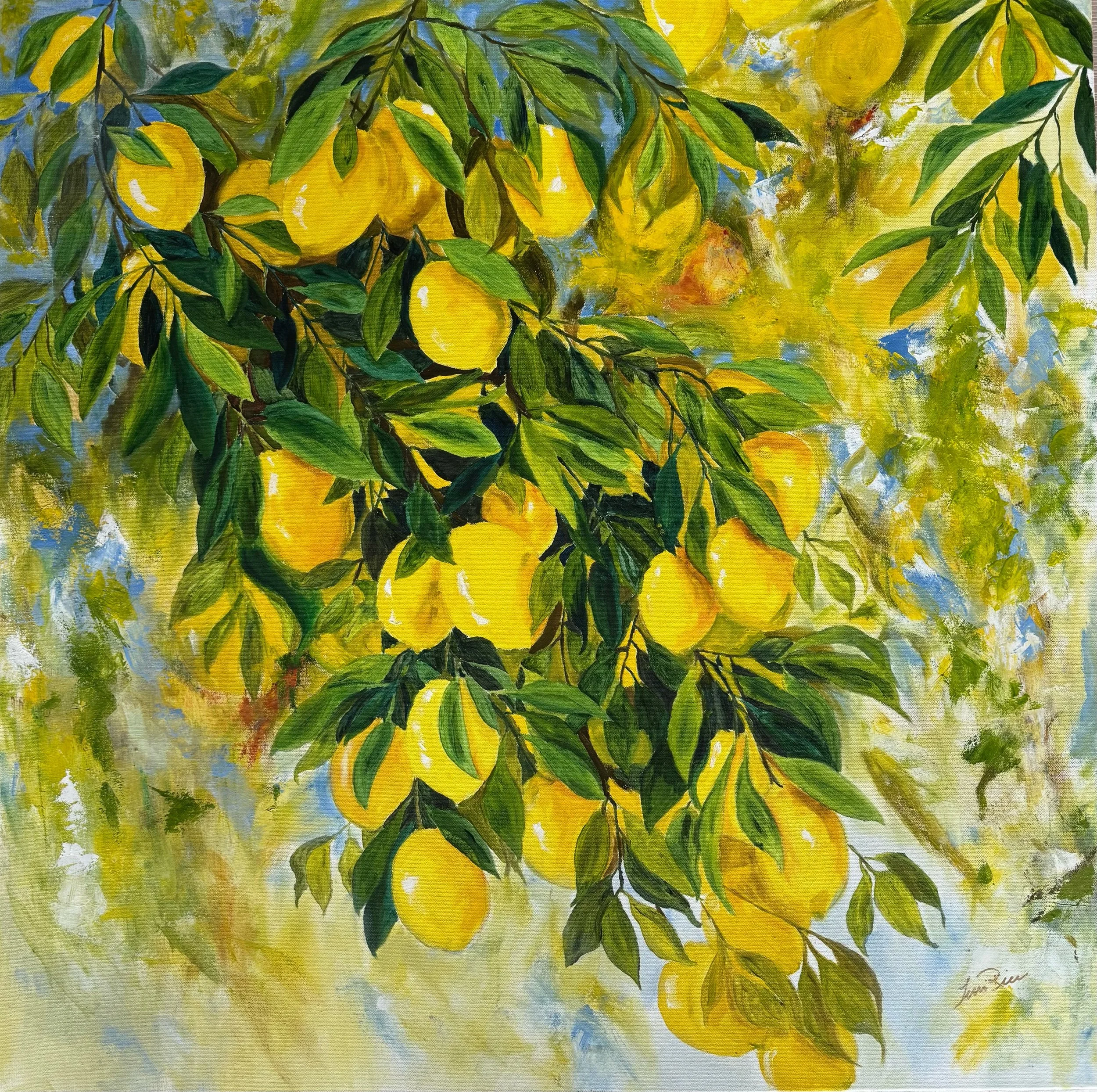 Lemon Tree 36” X 36” oil on gallery wrapped canvas $1400