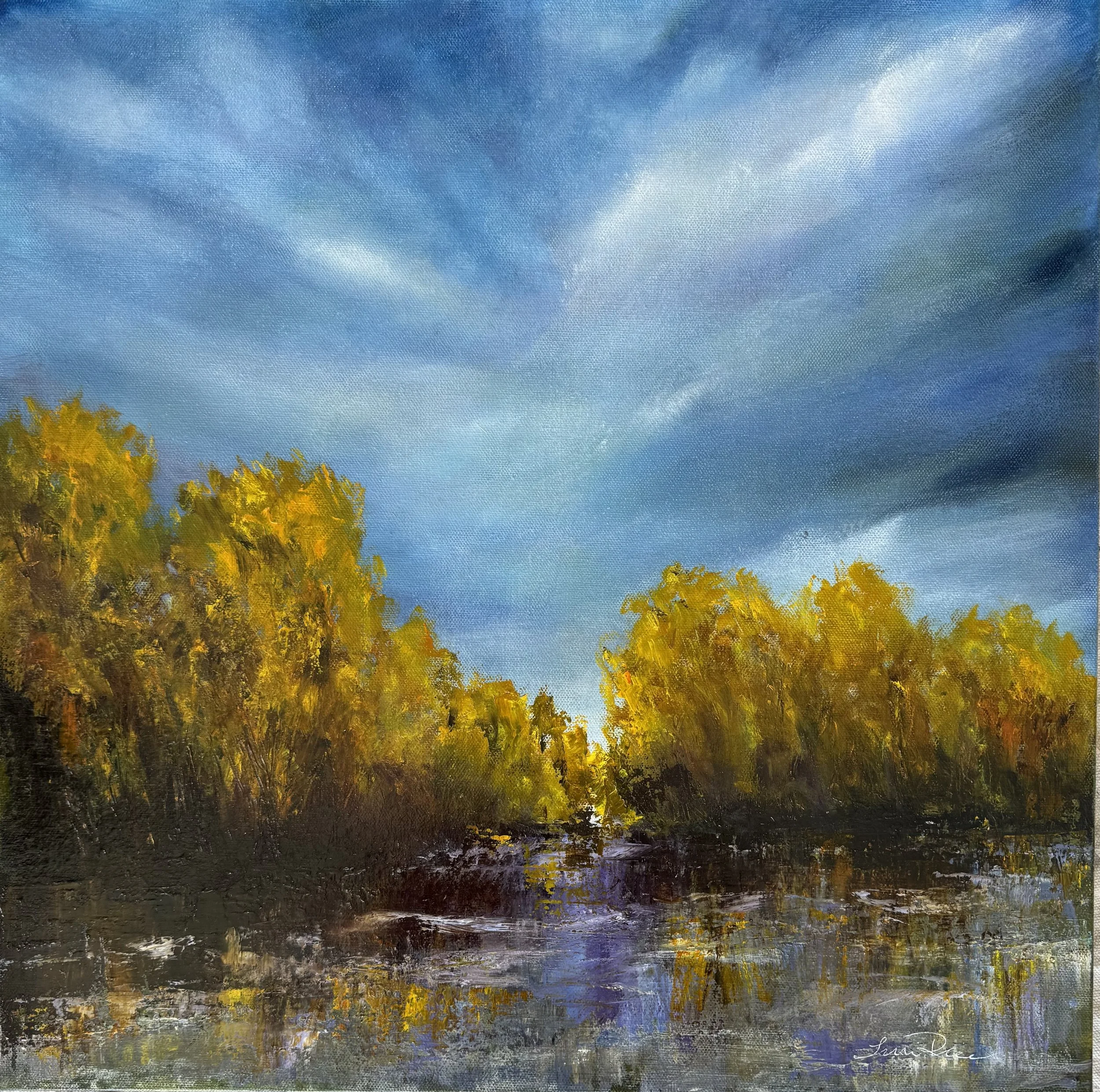 Still Waters 20X20 oil on gallery wrapped canvas $700