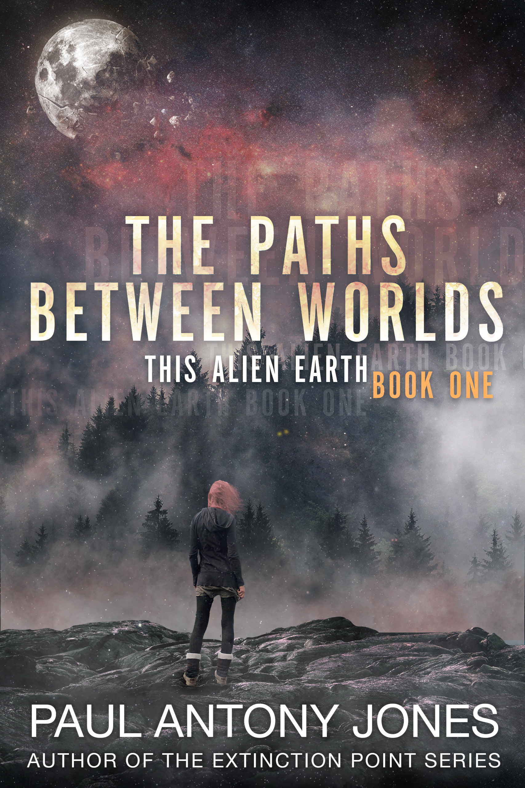 The Paths.jpg