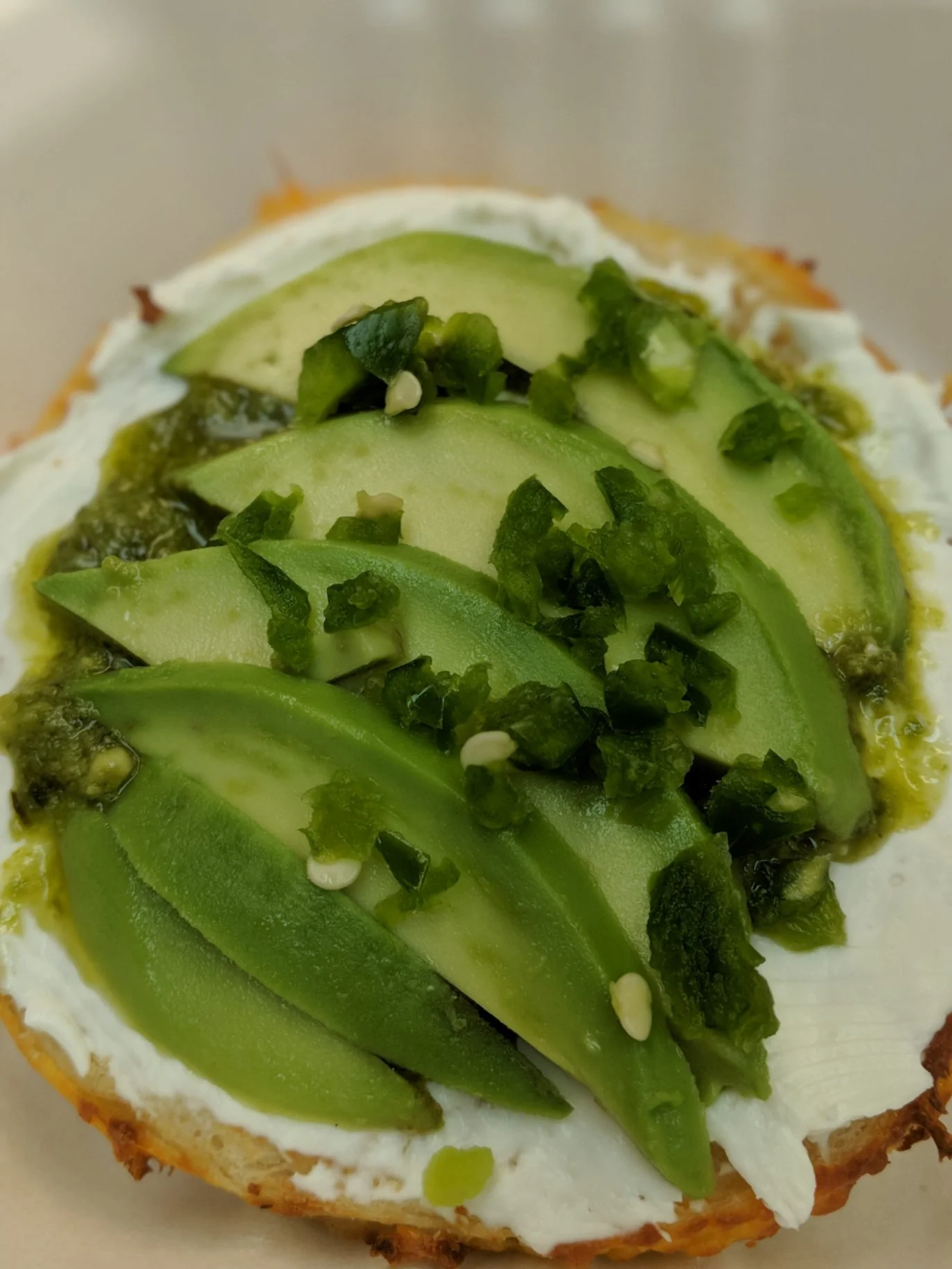 Gallery — Dragonfly Bagel Co.