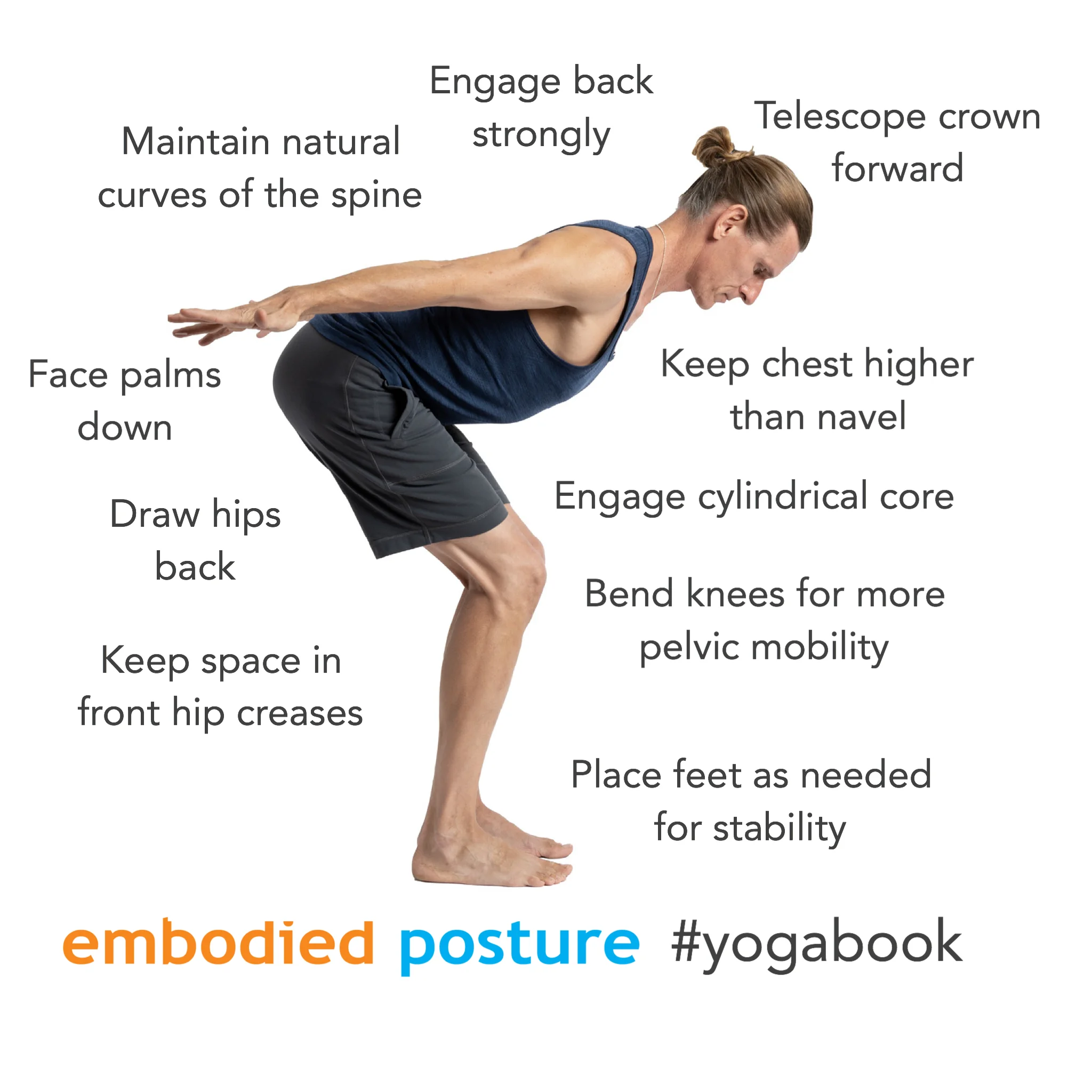 Ardha Uttanasana / Halfway Lift — Stacy Dockins