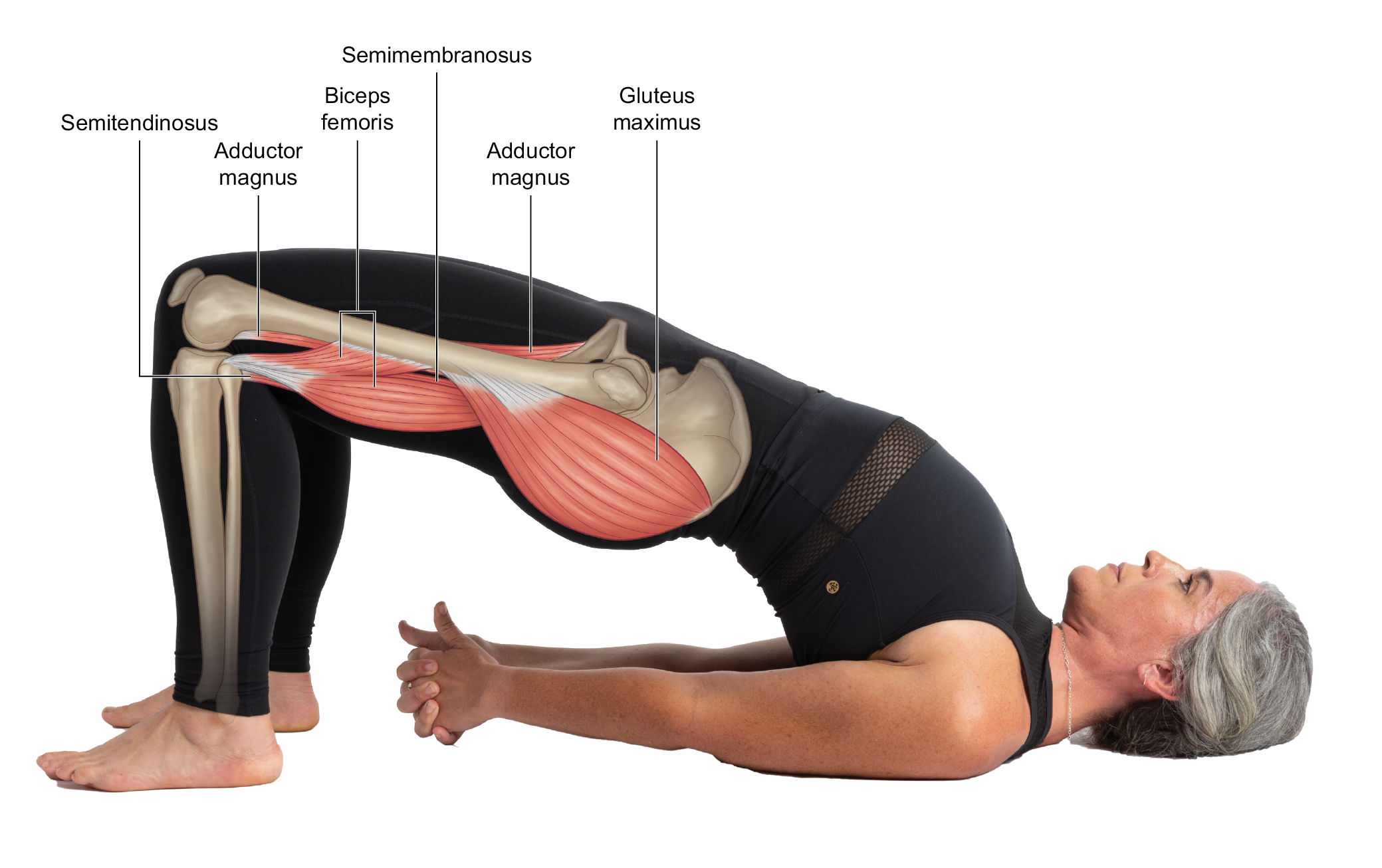 6 Dynamic Hamstring Stretches That Help Loosen Tense Muscles